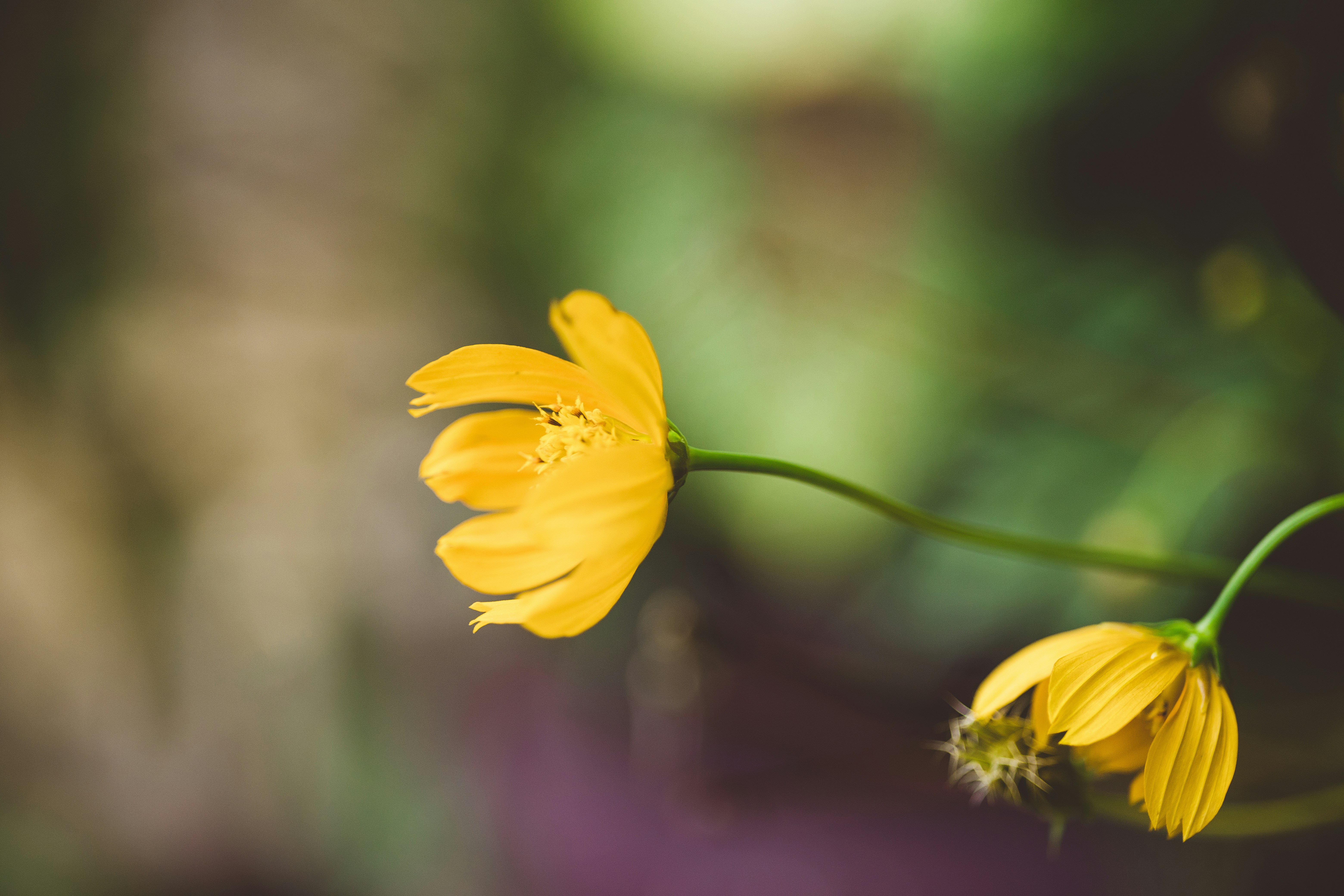 Photo by rrodriguesim