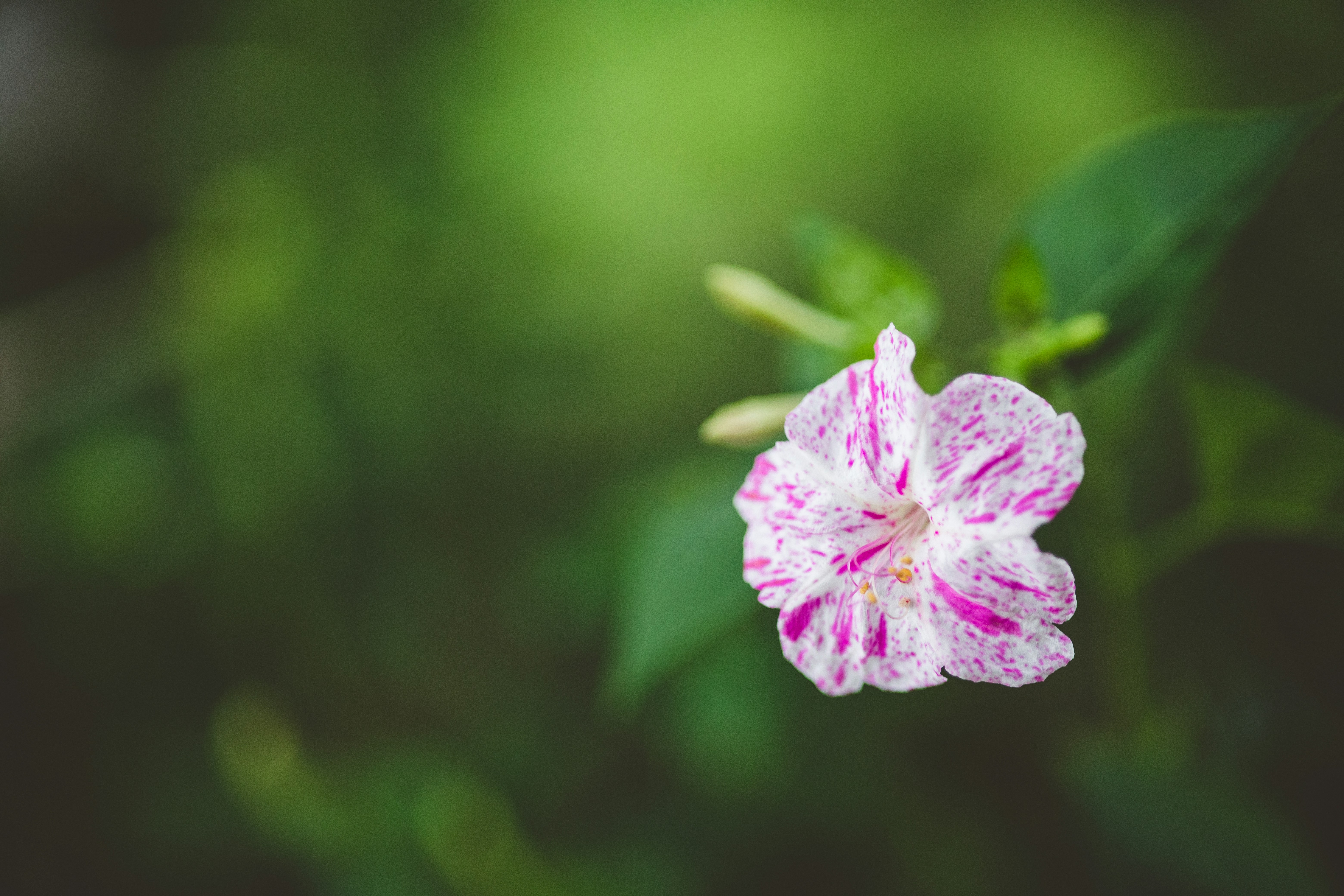 Photo by rrodriguesim