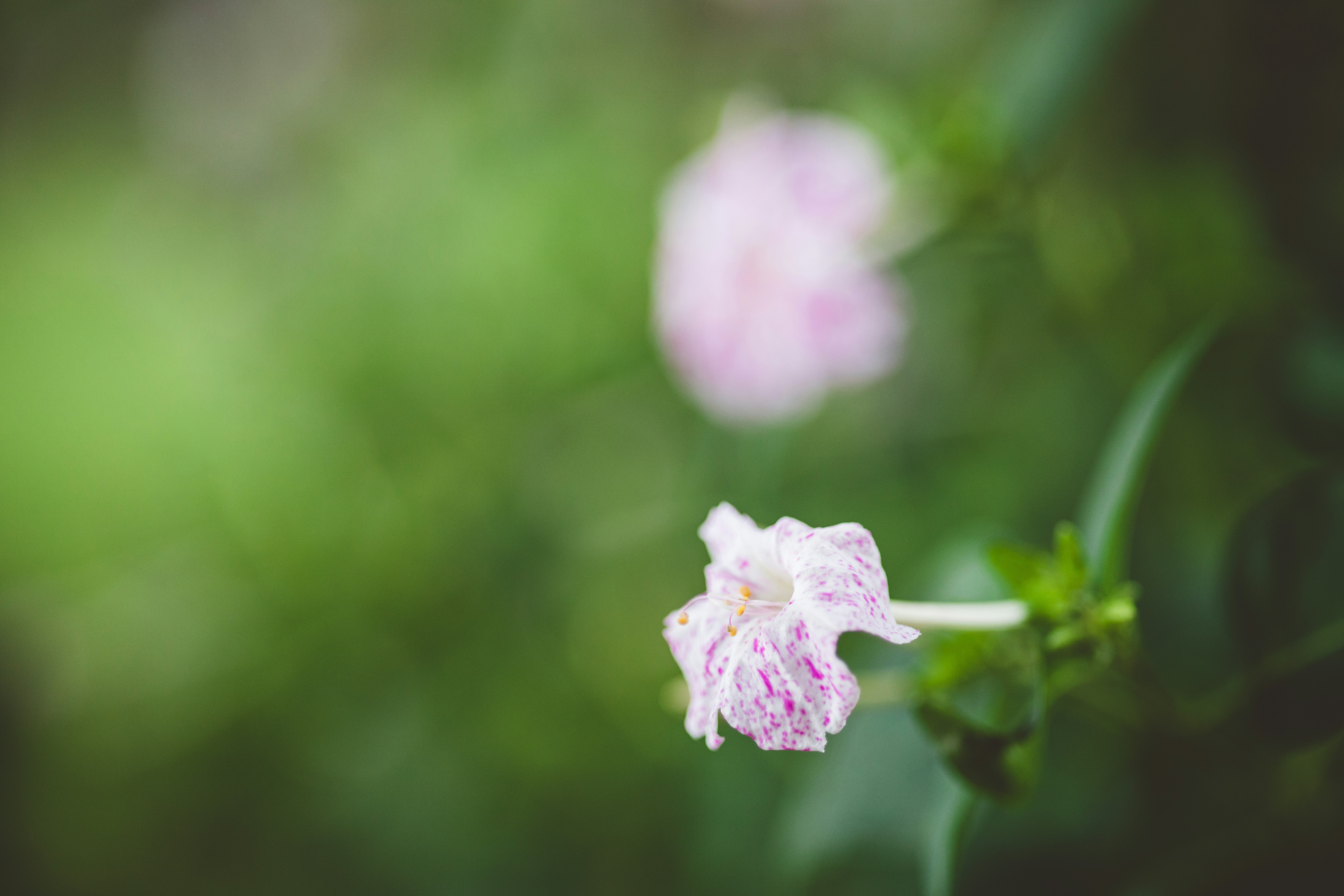 Photo by rrodriguesim