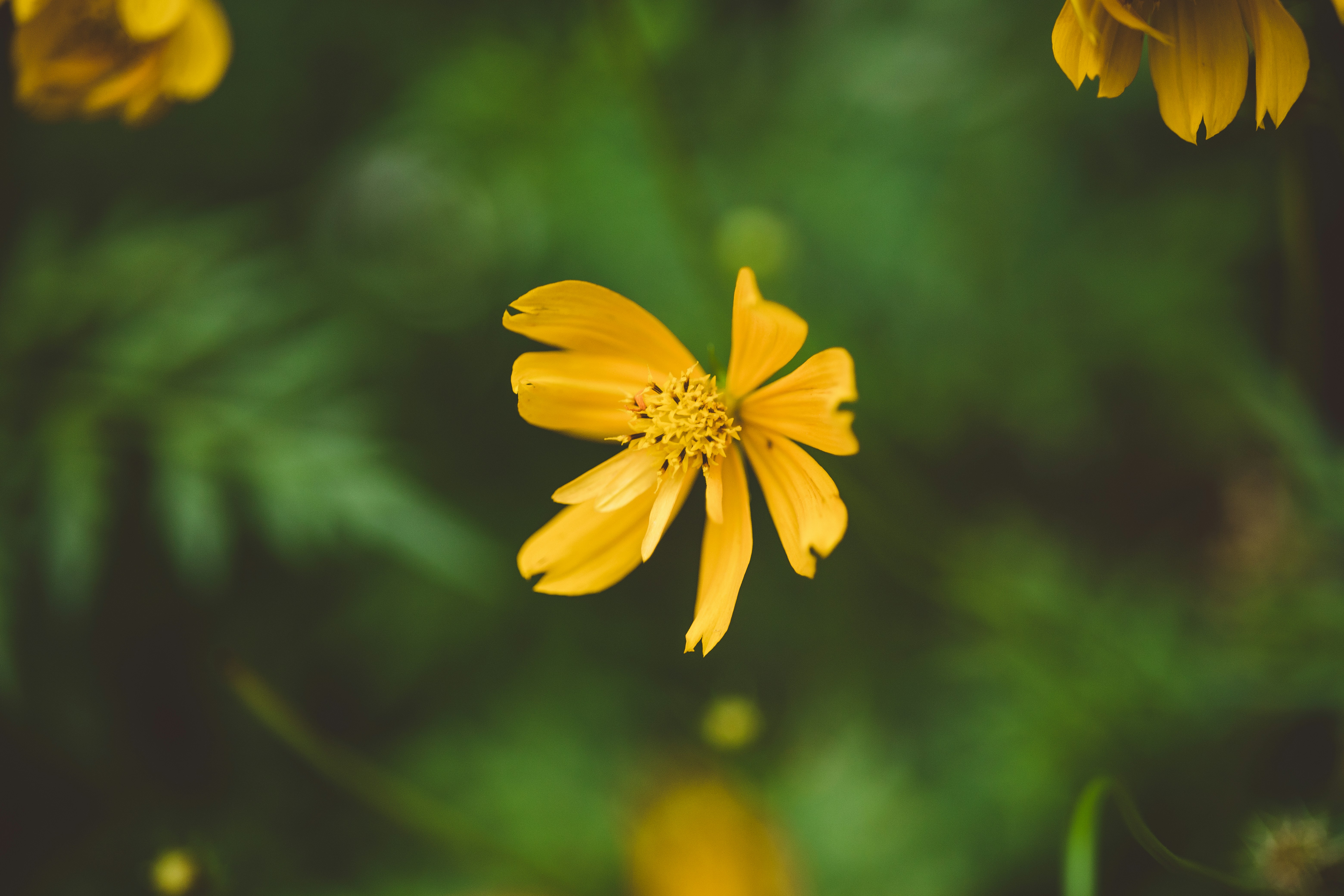 Photo by rrodriguesim