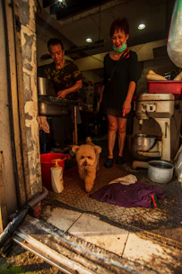 A caring dog owner preparing a homemade low-fat meal in a cozy kitchen.