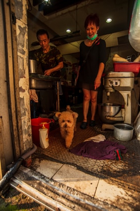 A small fluffy dog walks towards the camera inside a kitchen-like space. Two people are present, one appearing to be cooking and the other smiling at the dog. The kitchen includes various utensils, a red bucket, and a bottle of liquid soap. The lighting is warm, and the atmosphere seems casual and homey.