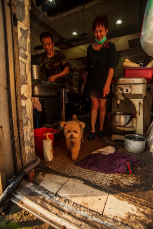 A small fluffy dog walks towards the camera inside a kitchen-like space. Two people are present, one appearing to be cooking and the other smiling at the dog. The kitchen includes various utensils, a red bucket, and a bottle of liquid soap. The lighting is warm, and the atmosphere seems casual and homey.