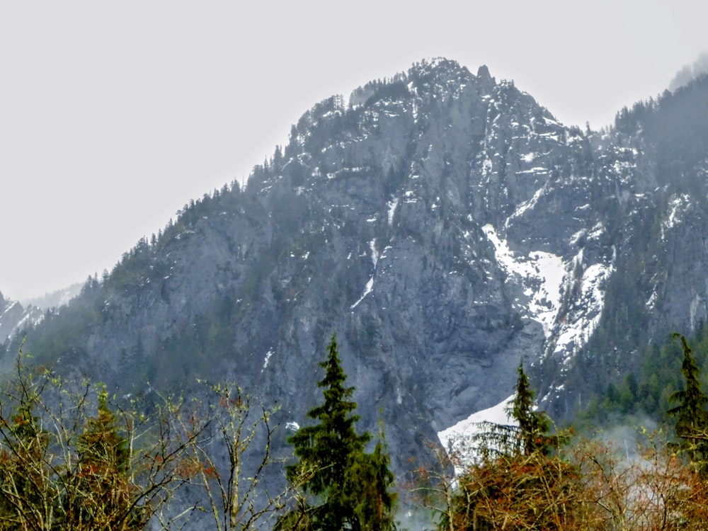 a snow covered mountain with trees in the foreground