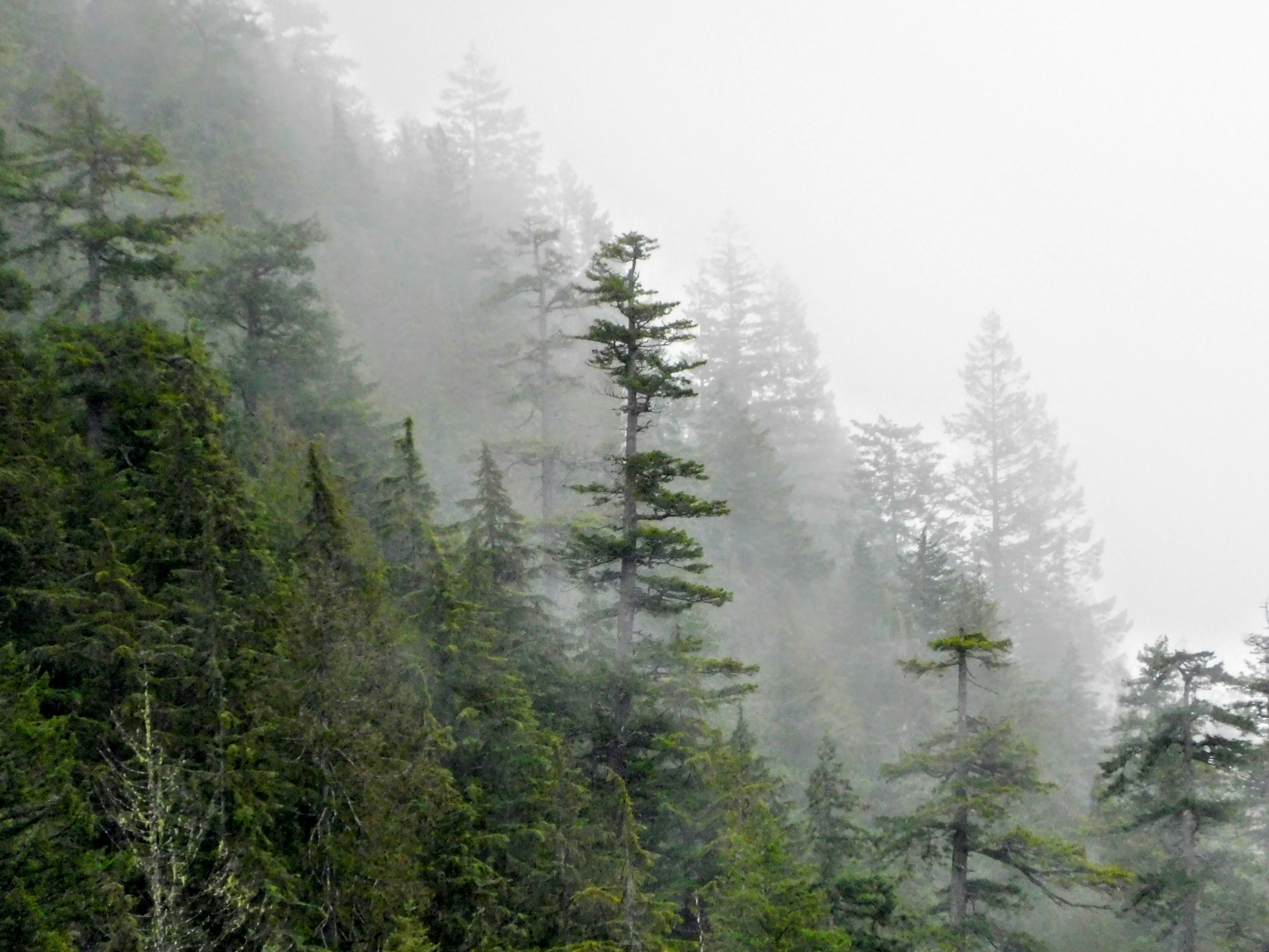 Photo by prphotography262