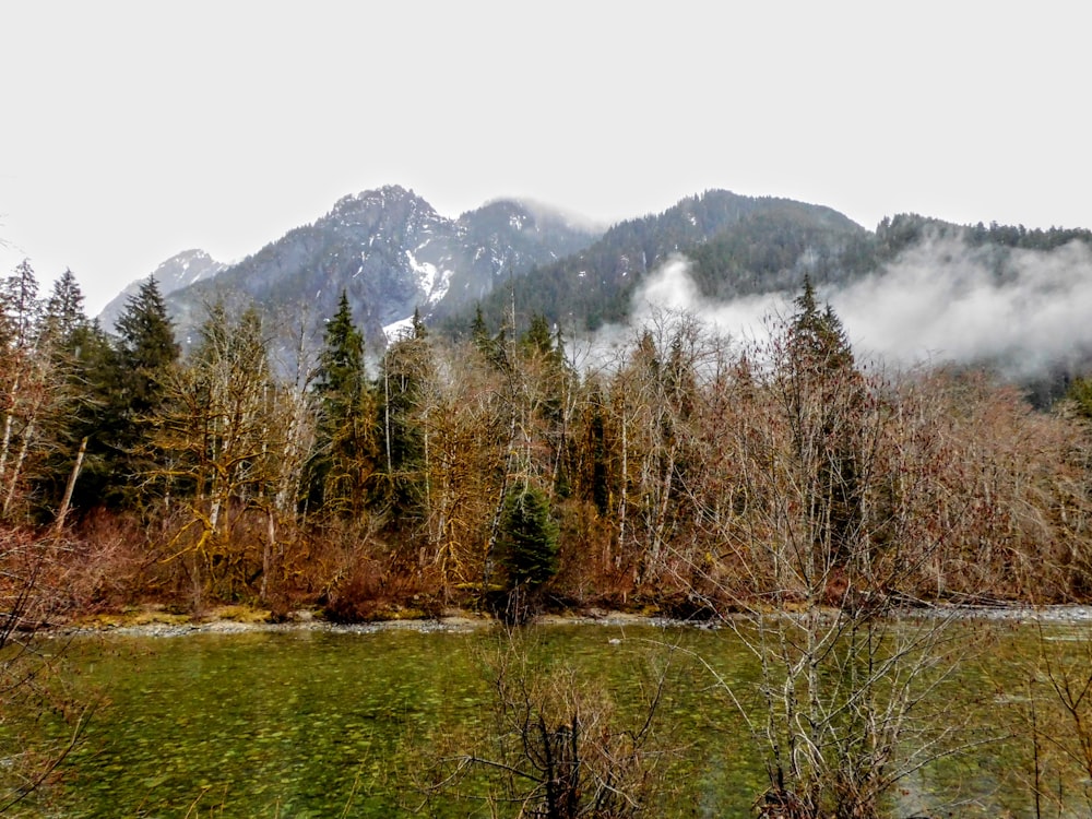 a river surrounded by trees and mountains in the background