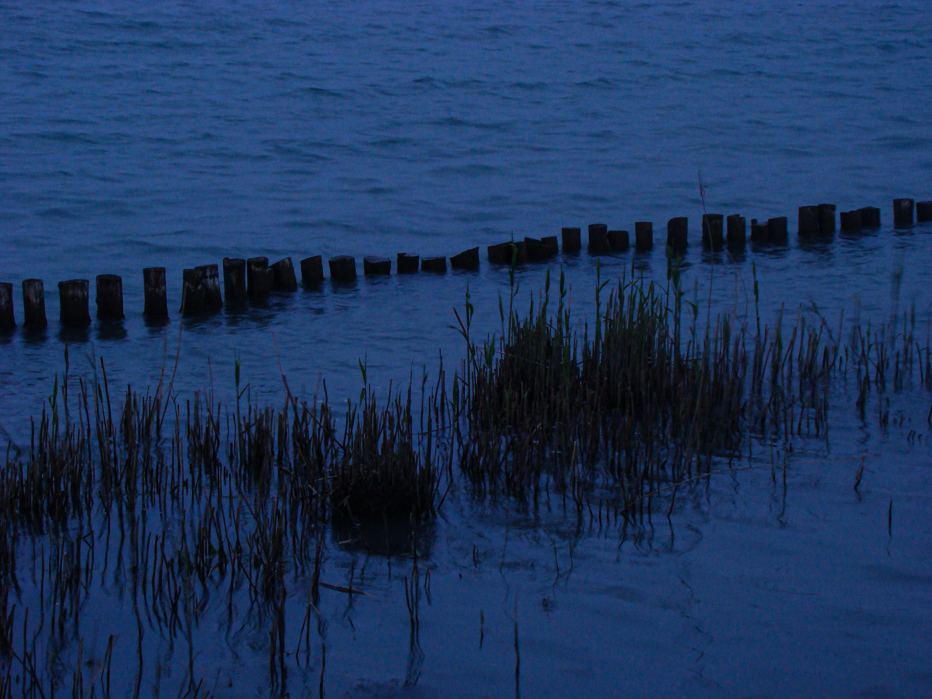 Photo by maro_of_sengu