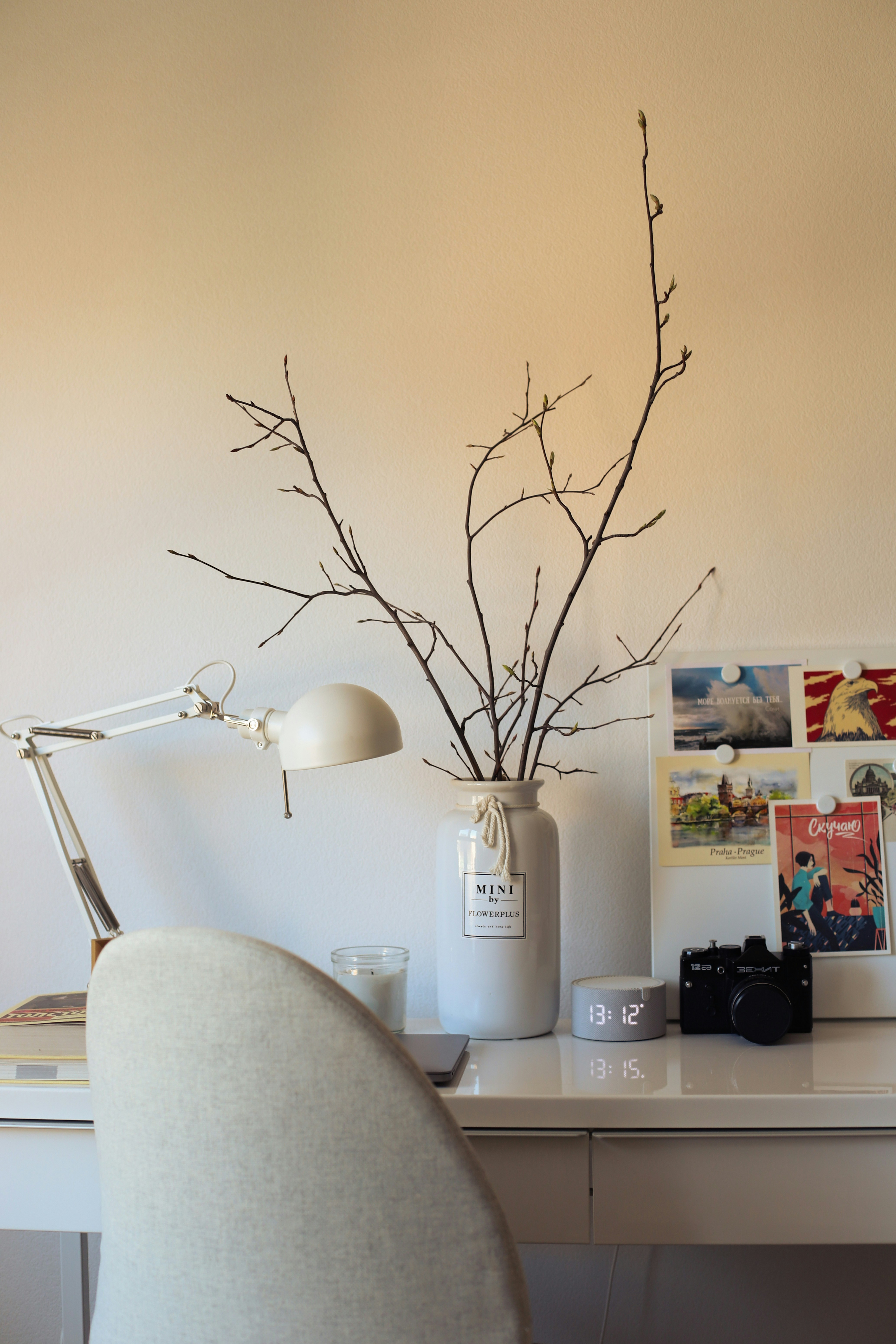 Photo by lapshinakseniia