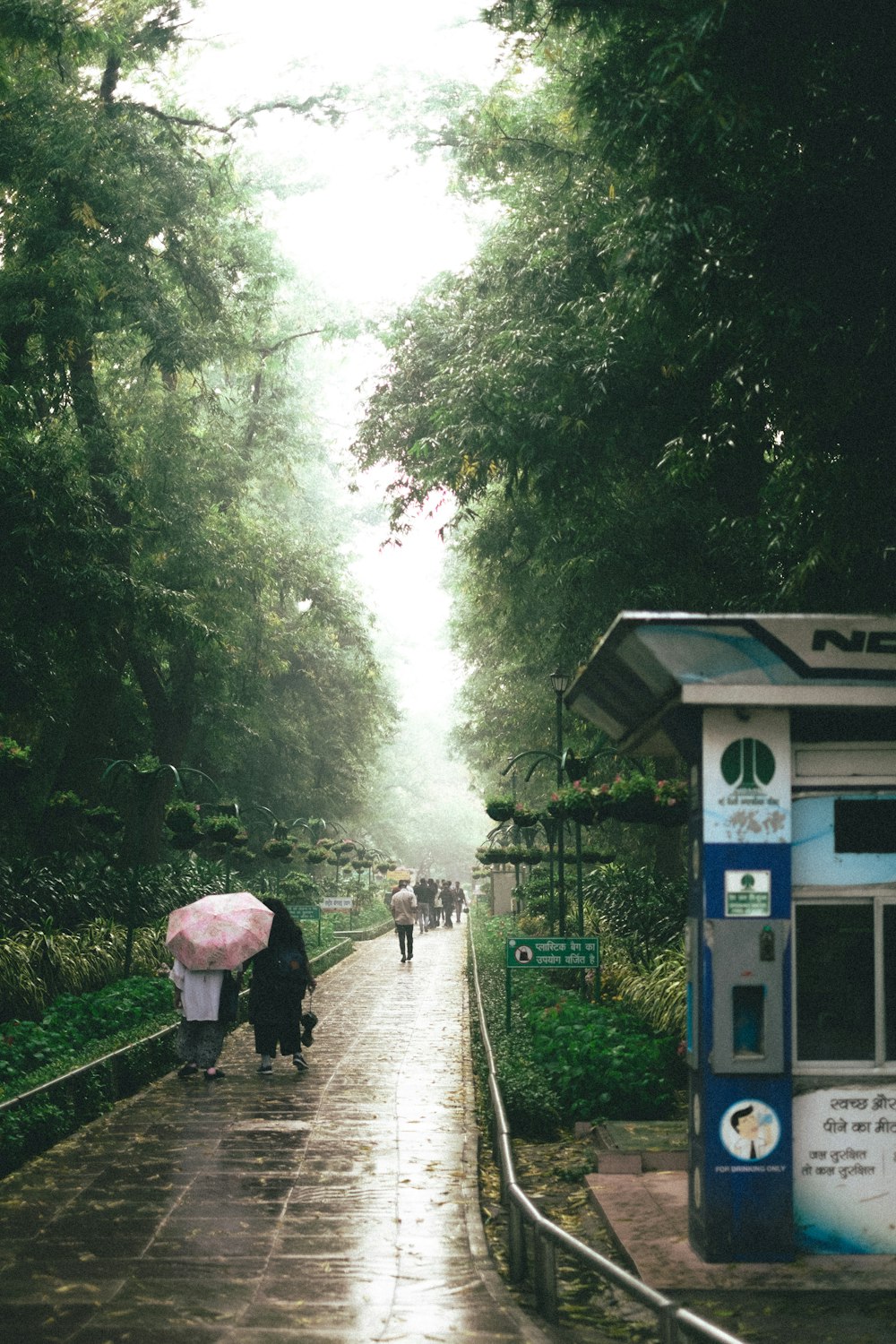 Eine Gruppe von Menschen, die mit Regenschirmen einen Pfad entlang gehen