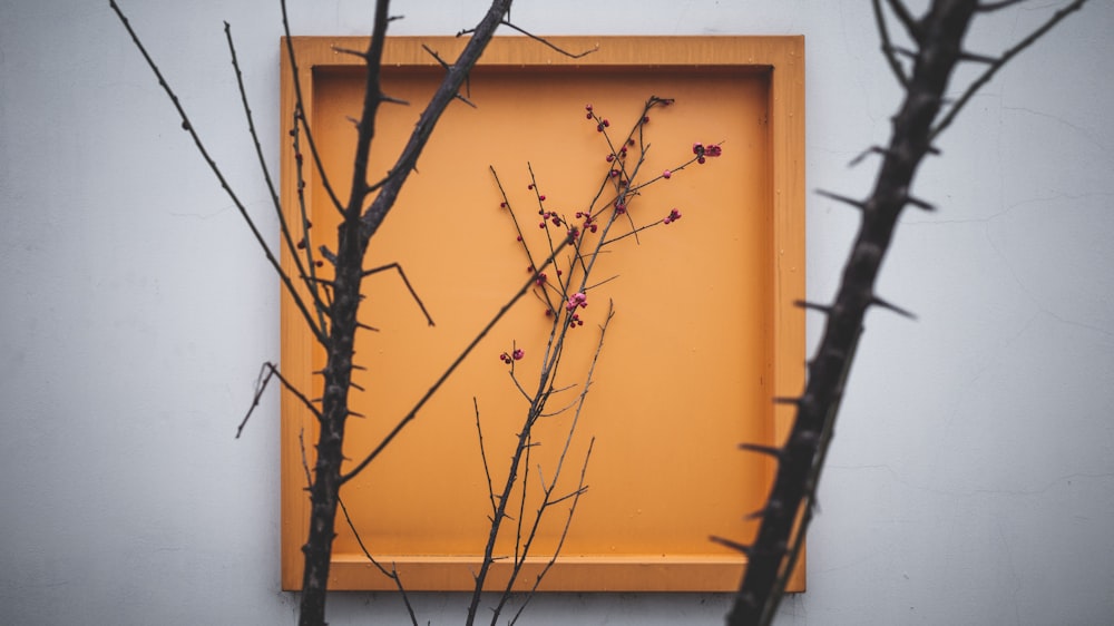 a picture of some branches in front of a wall