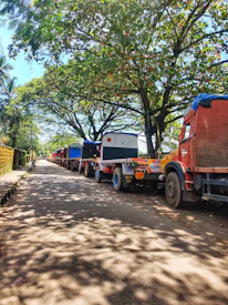 A fleet of trucks lined up ready for dispatch on a sunny day.