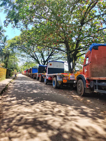 A fleet of trucks lined up ready for dispatch on a sunny day.