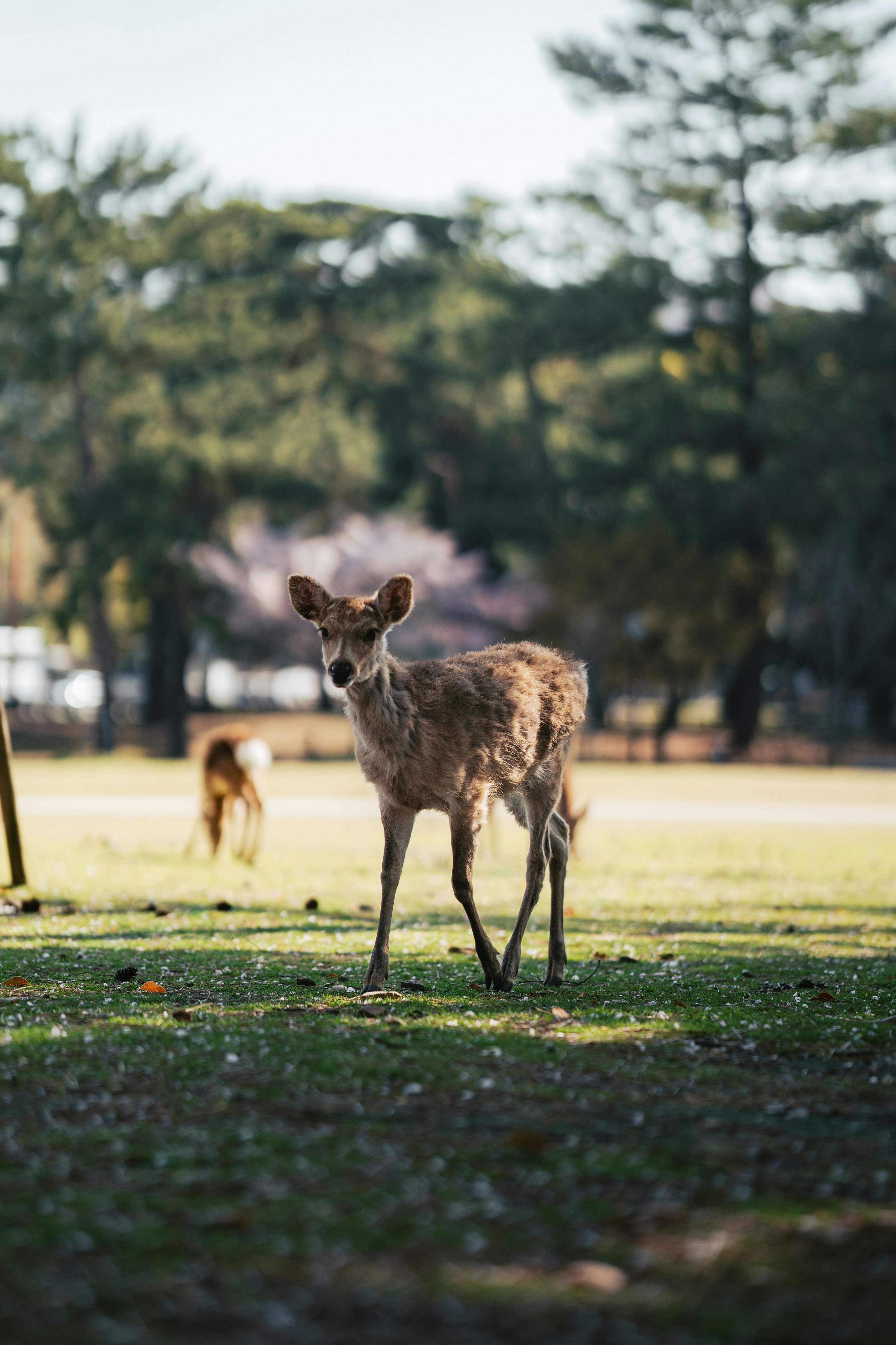 Photo by spensersembrat