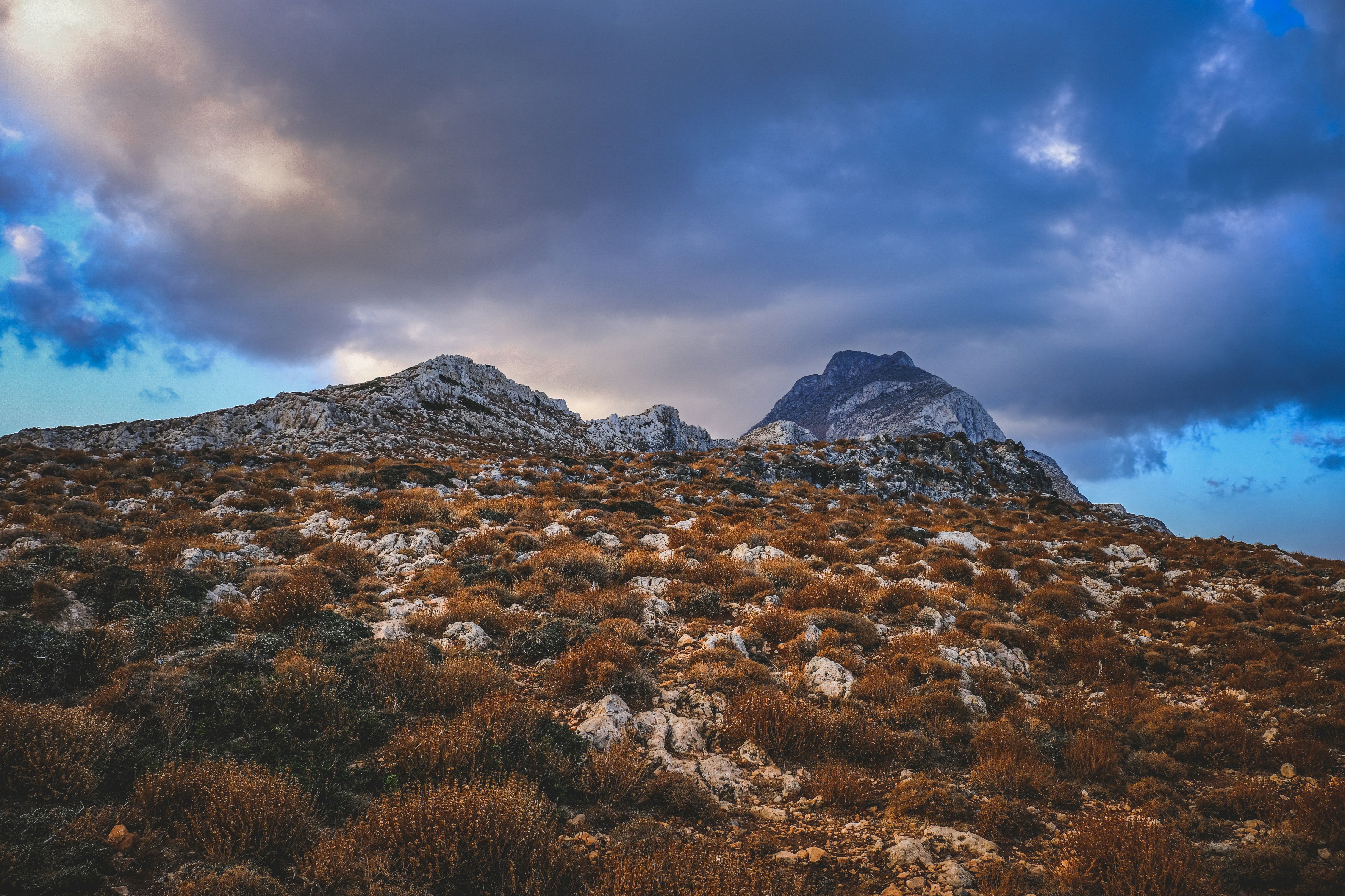 Photo by francesco_ungaro