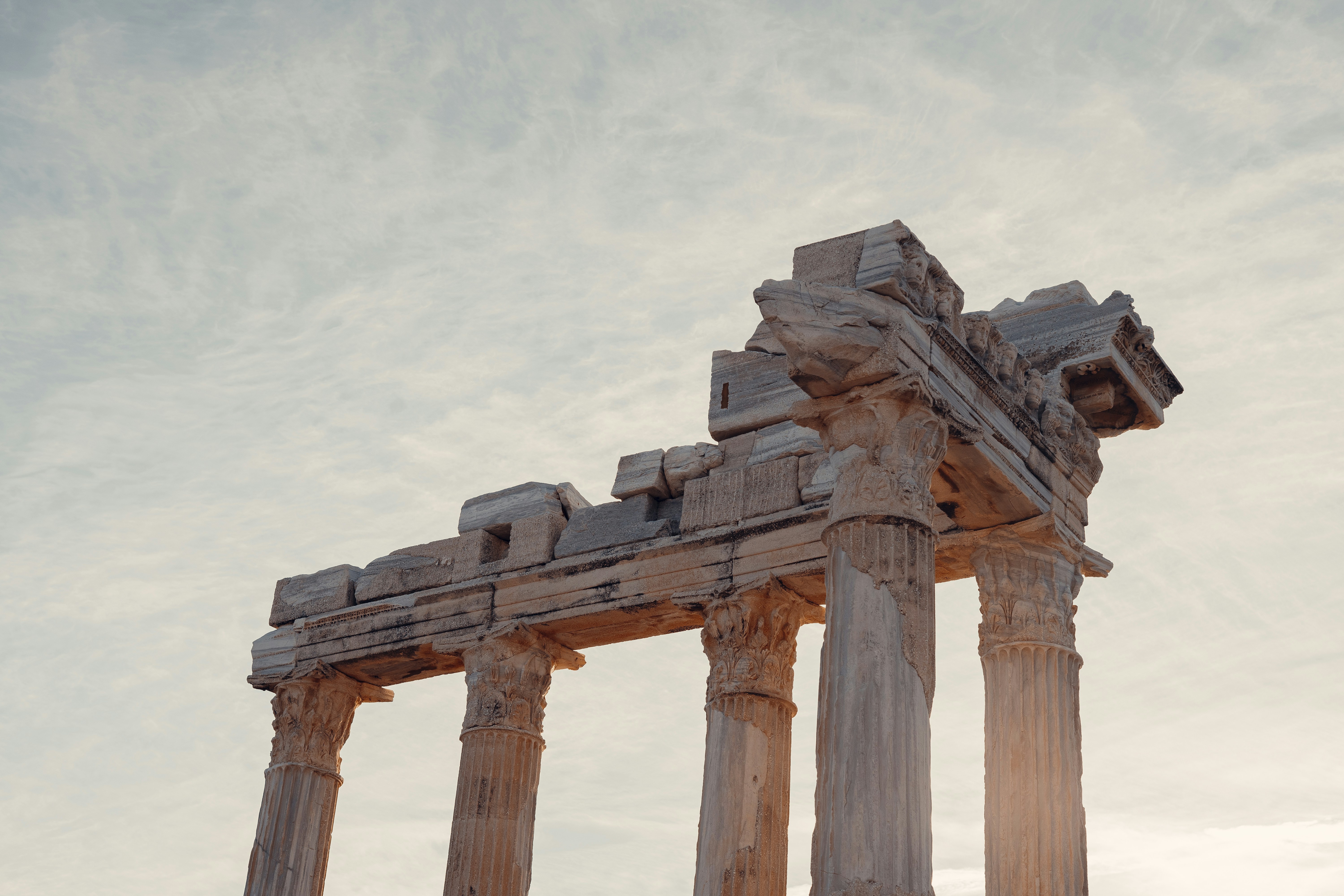 Photo by caspersomia