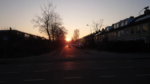 A peaceful neighborhood street at sunset, evoking new beginnings.