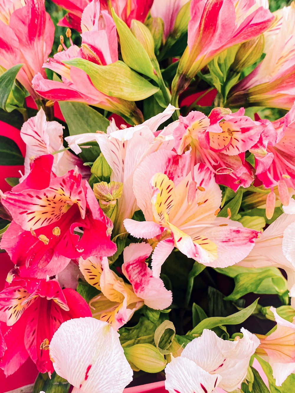 a close up of a bouquet of flowers