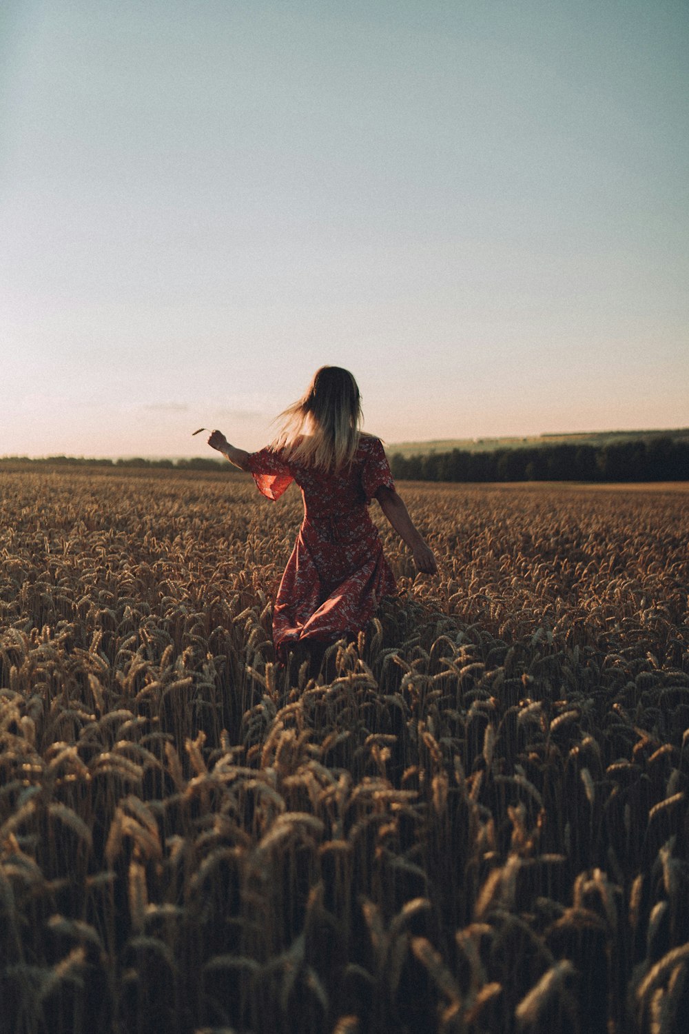 a woman standing in a field of wheat