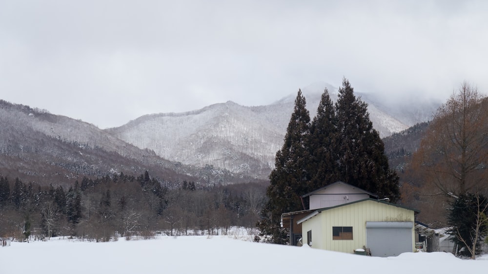 a house in the middle of a snowy field