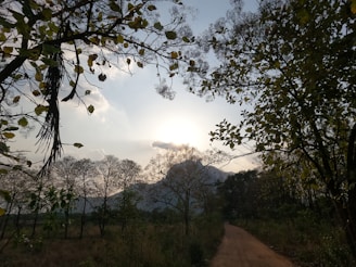 A serene mountain sunset with a silhouette of a couple walking through a forest path.