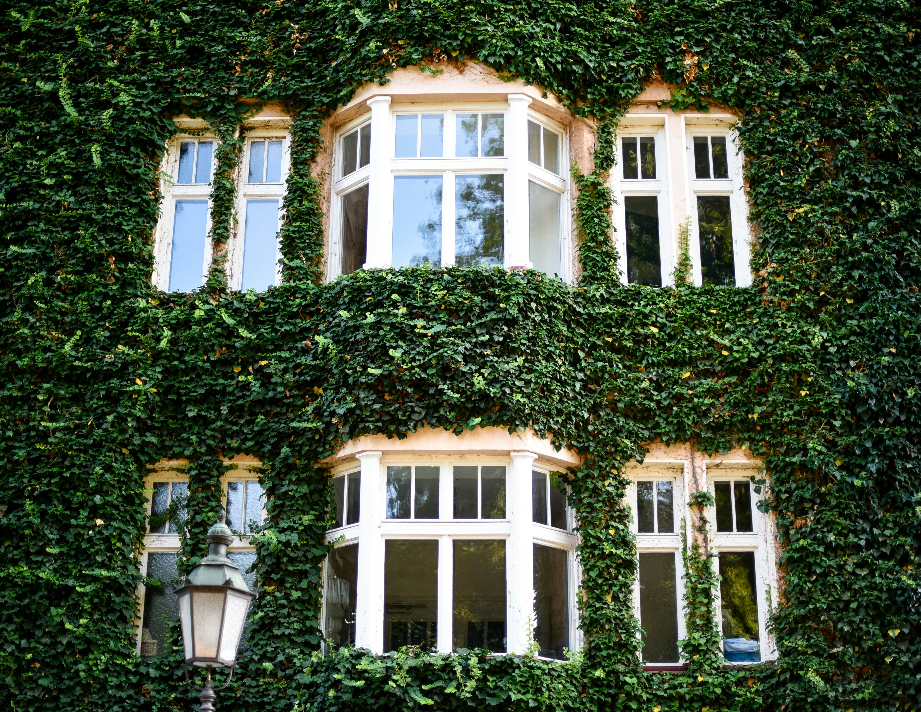 Photo by morning_mood