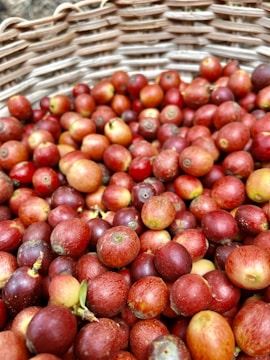A basket filled with numerous coffee cherries displaying a variety of red hues. The basket's texture and weave are visible in the background, adding a rustic element.
