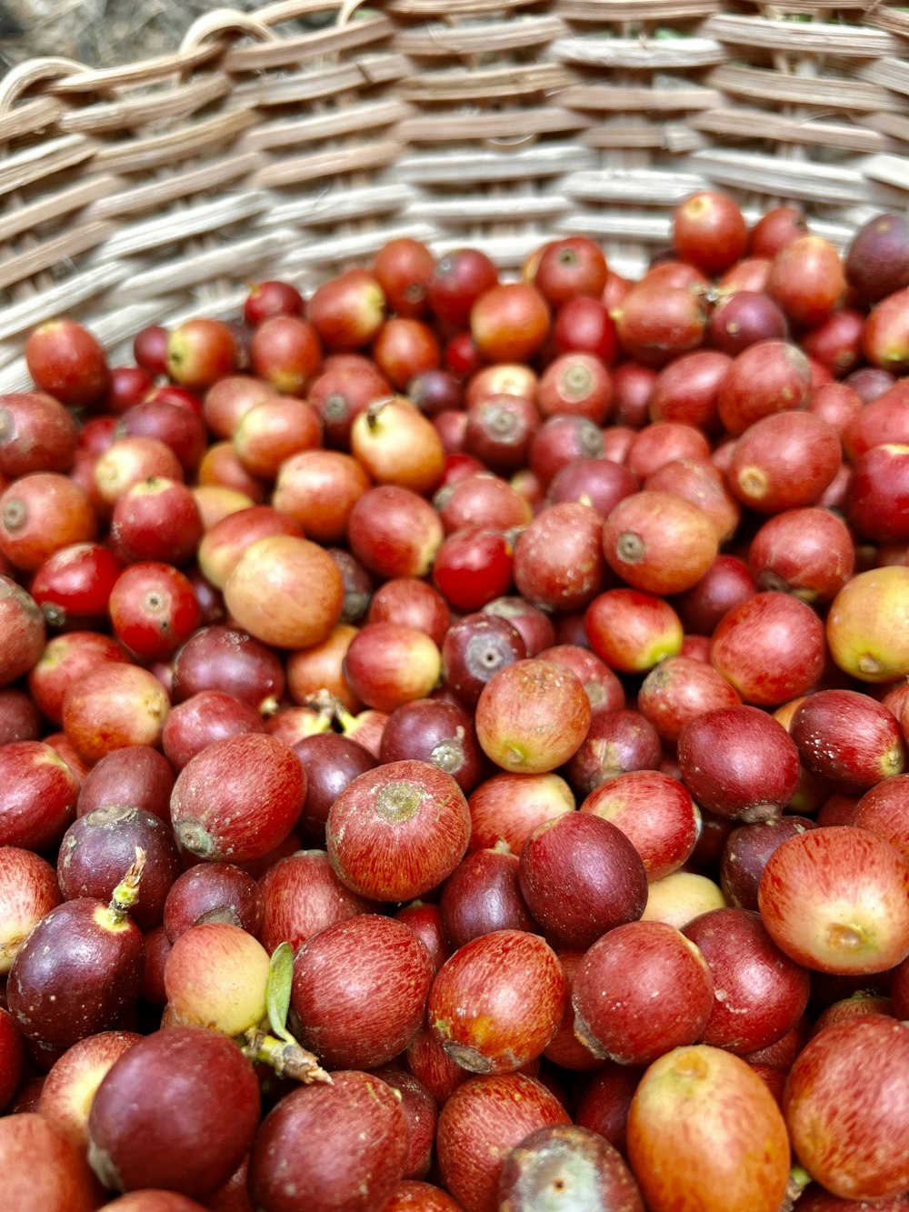 a basket filled with lots of red apples