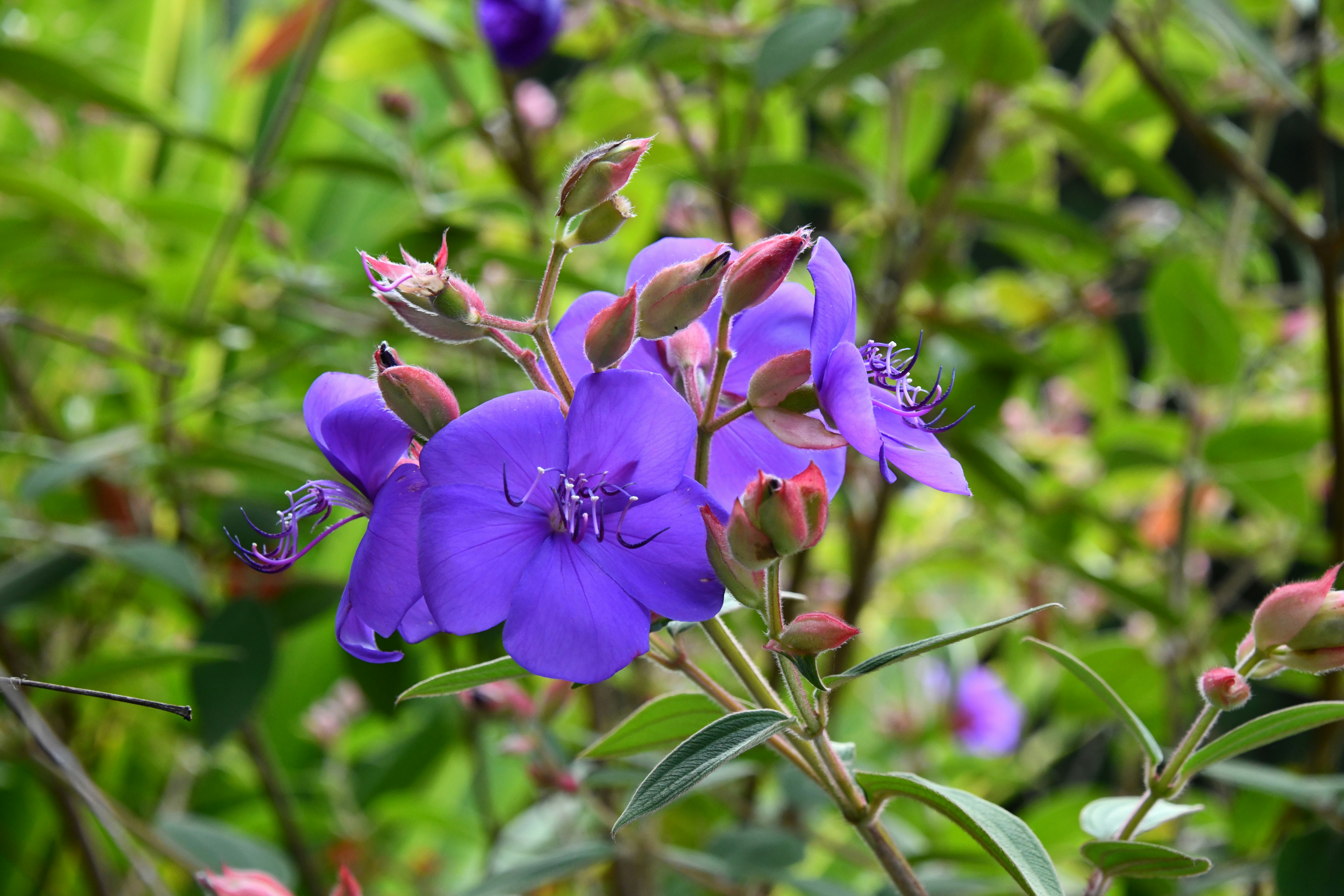 Photo by richard7seals