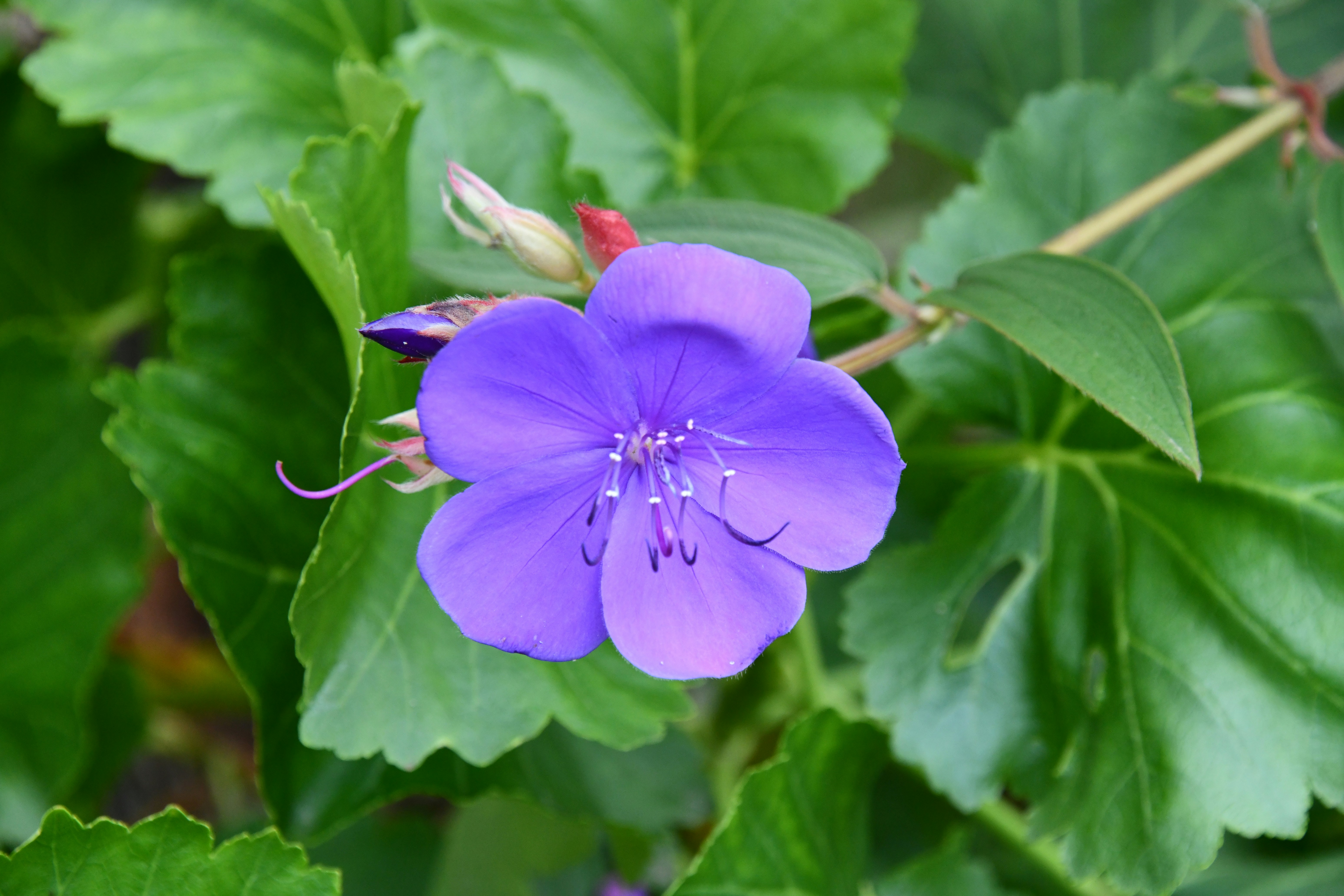 Photo by richard7seals