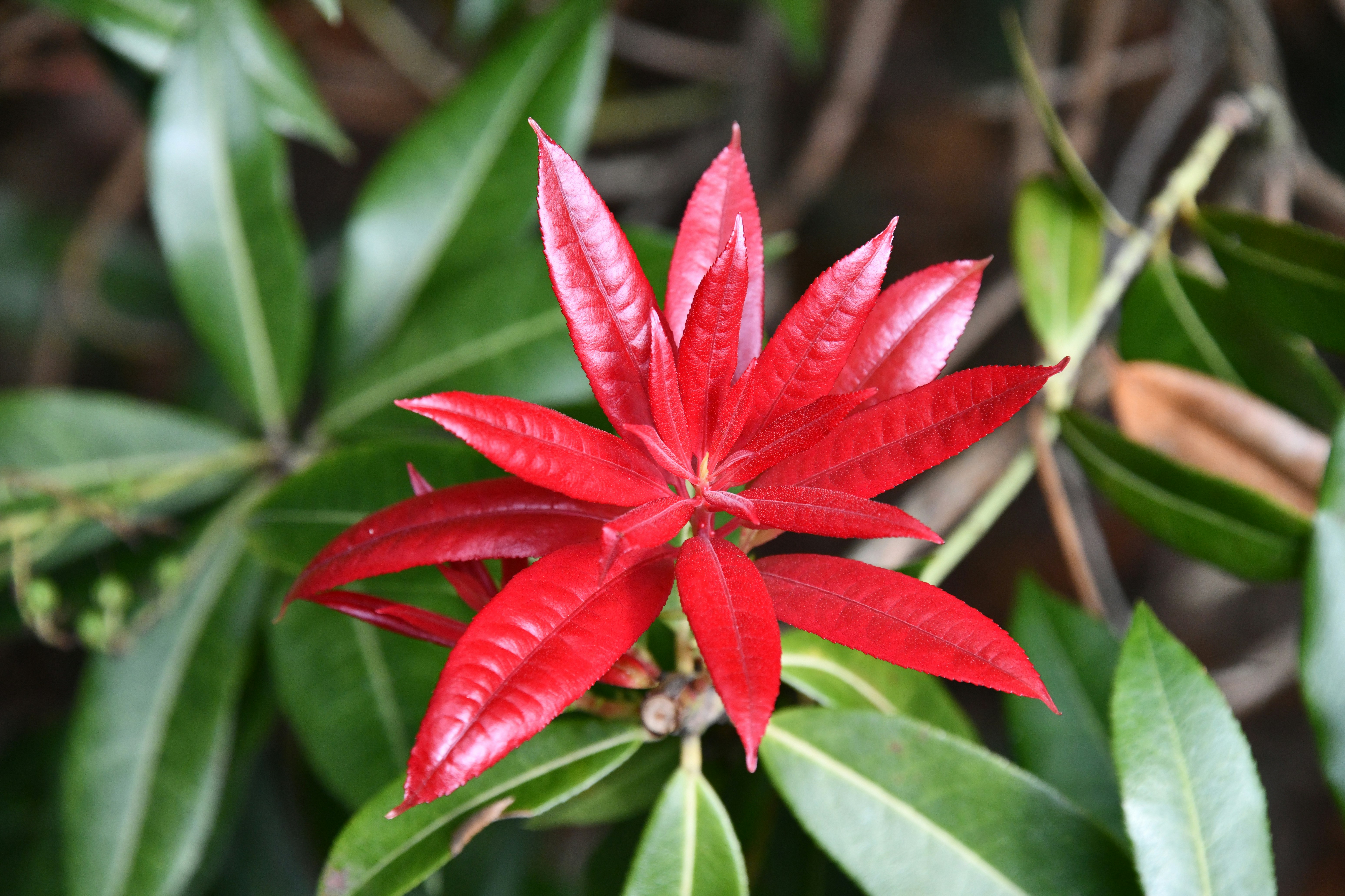 Photo by richard7seals