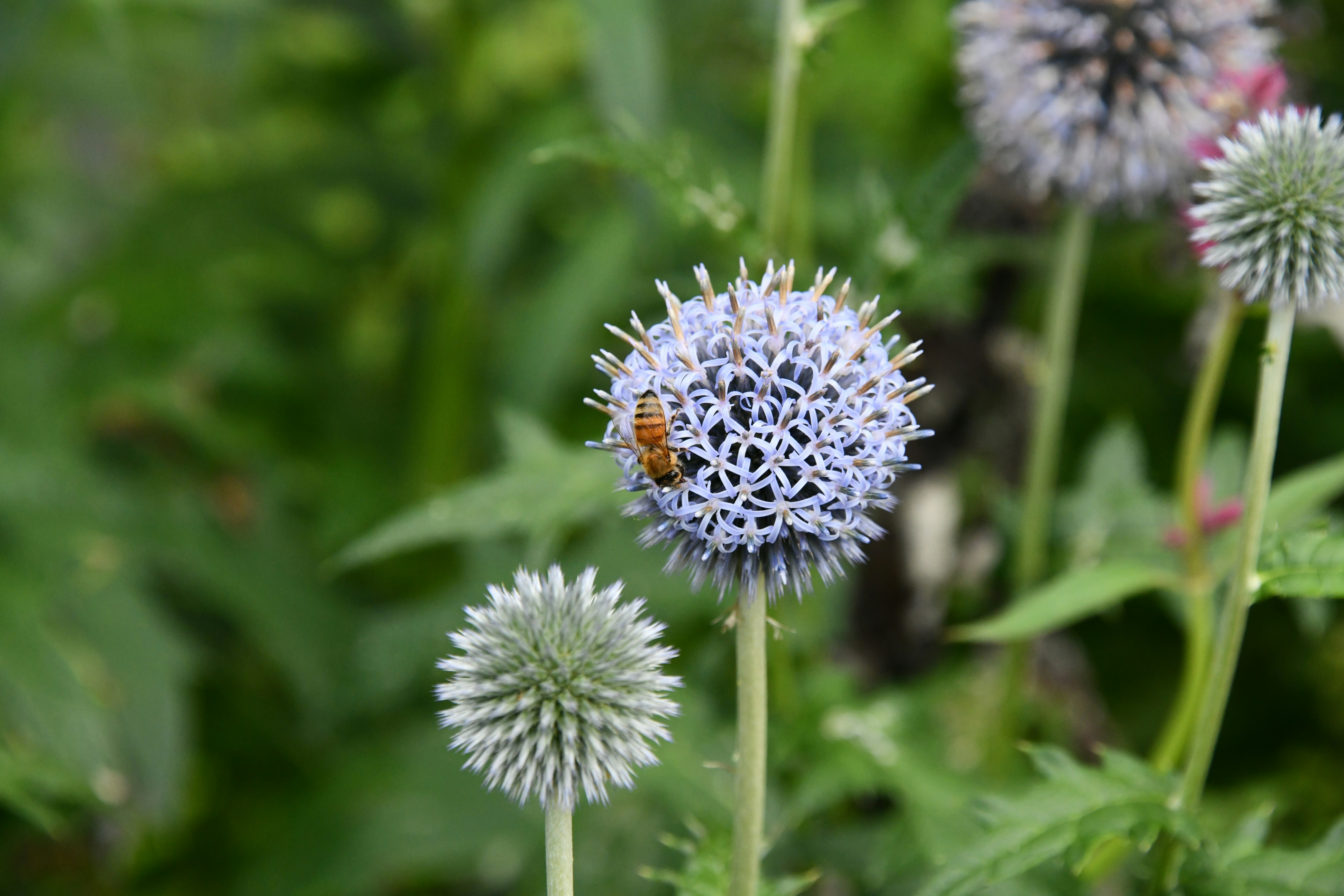 Photo by richard7seals