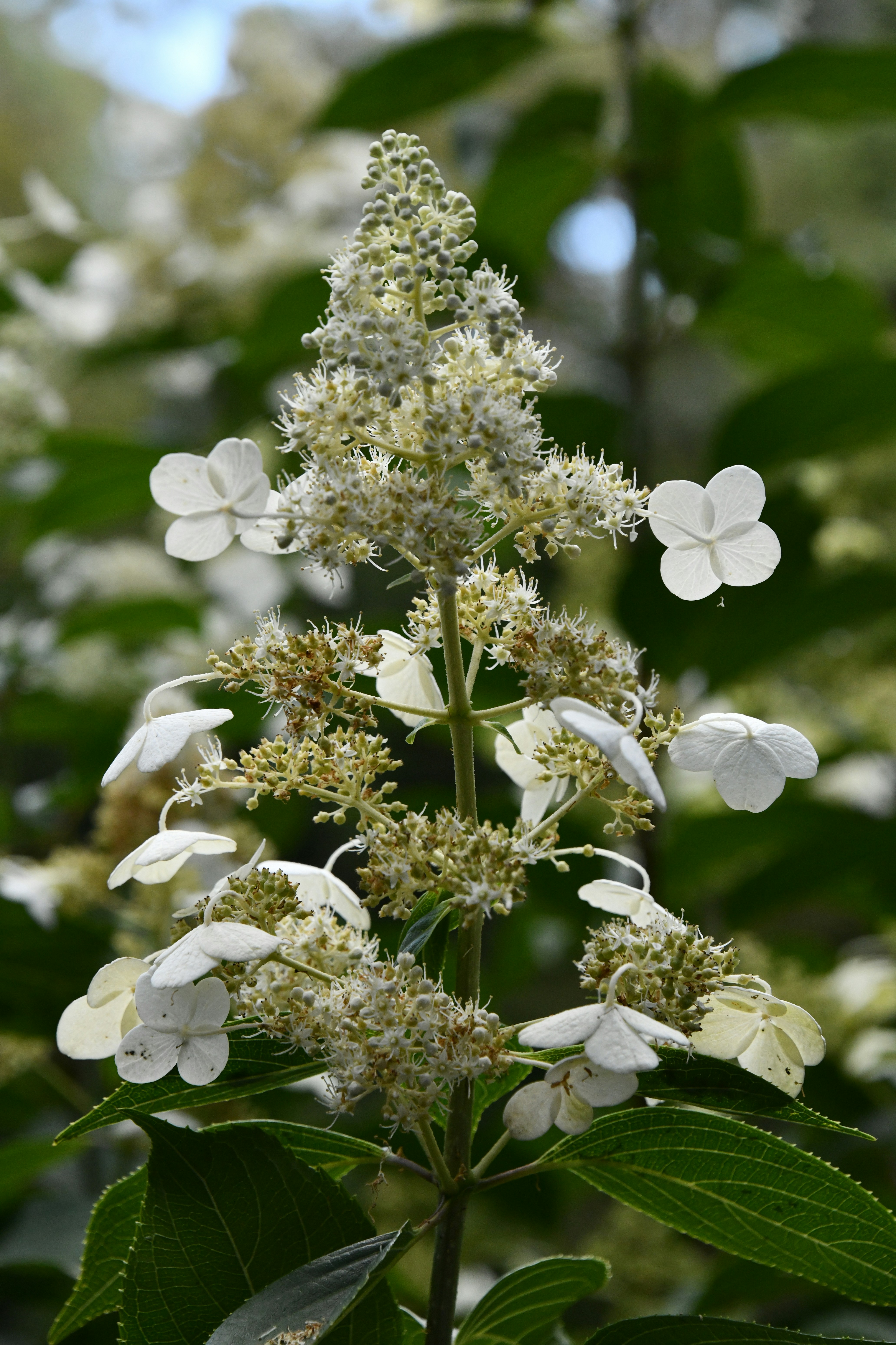 Photo by richard7seals