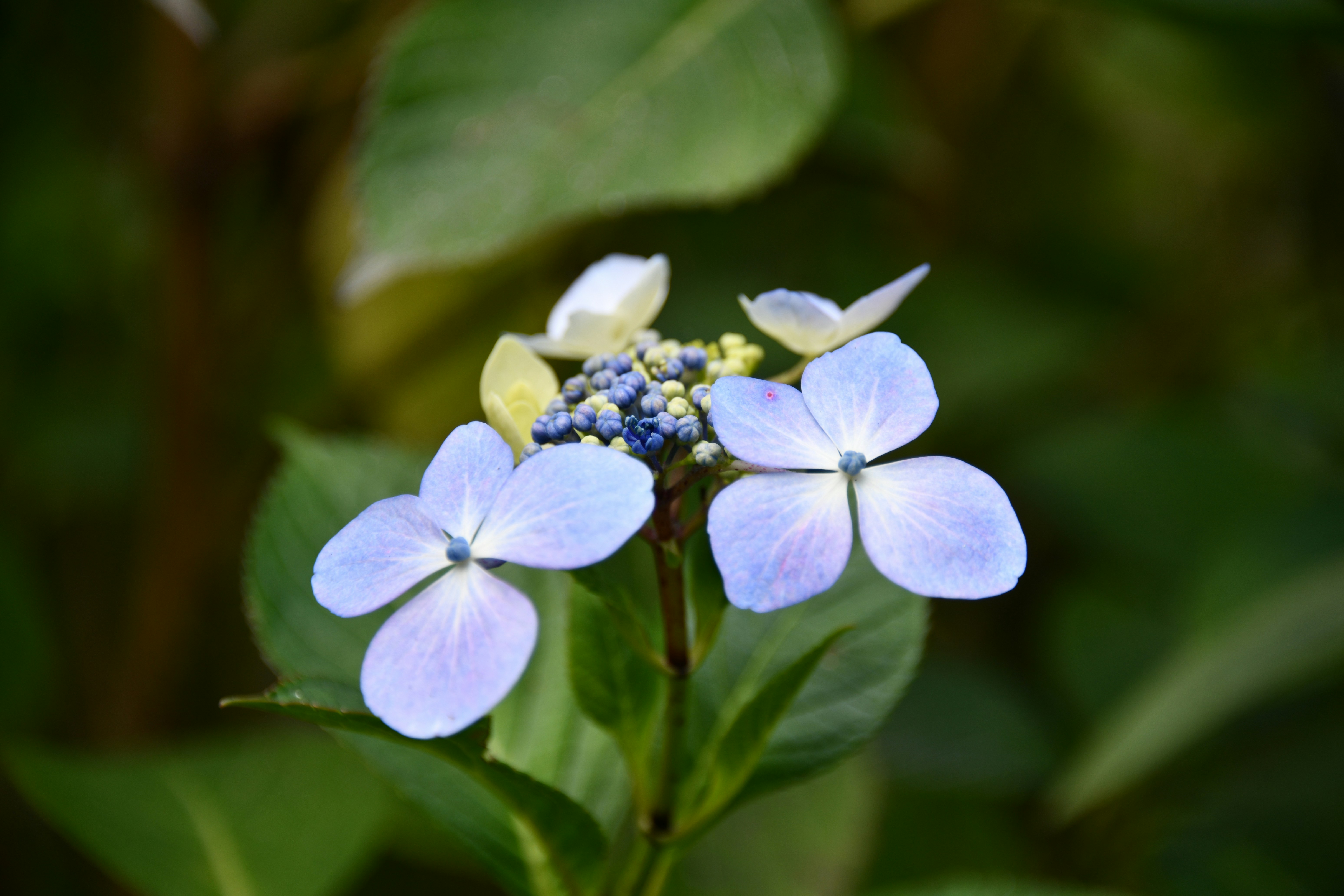 Photo by richard7seals