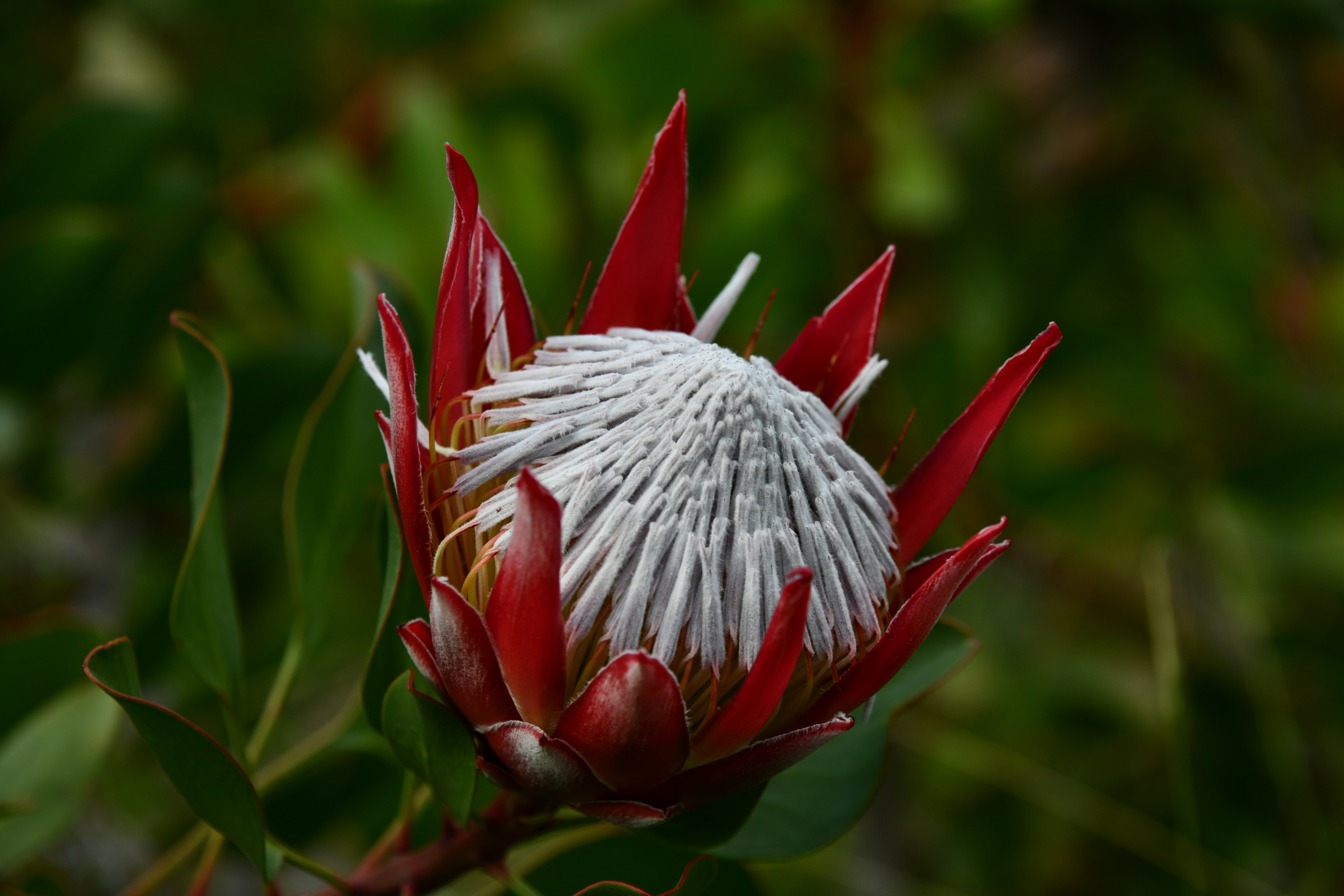 Photo by richard7seals