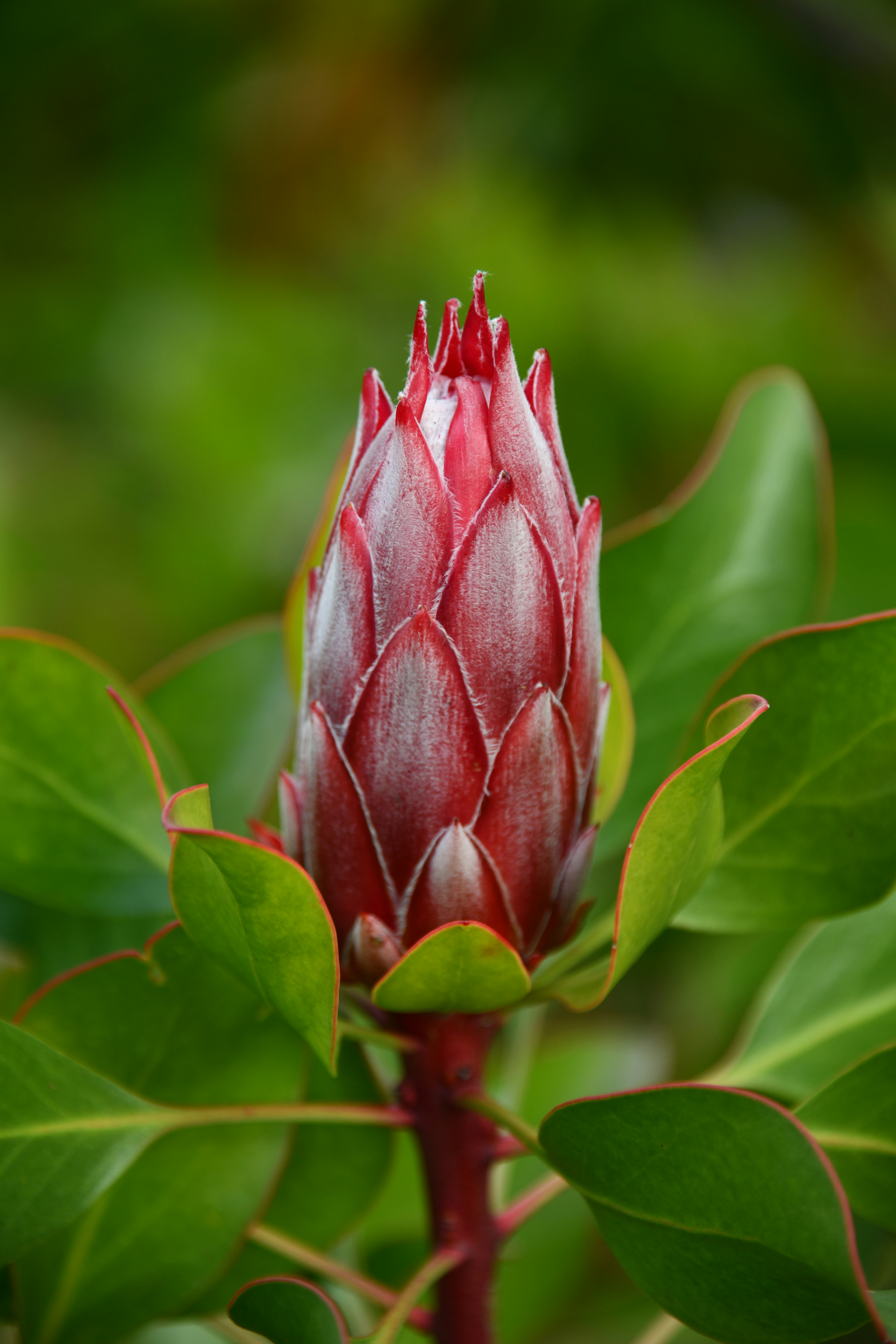 Photo by richard7seals