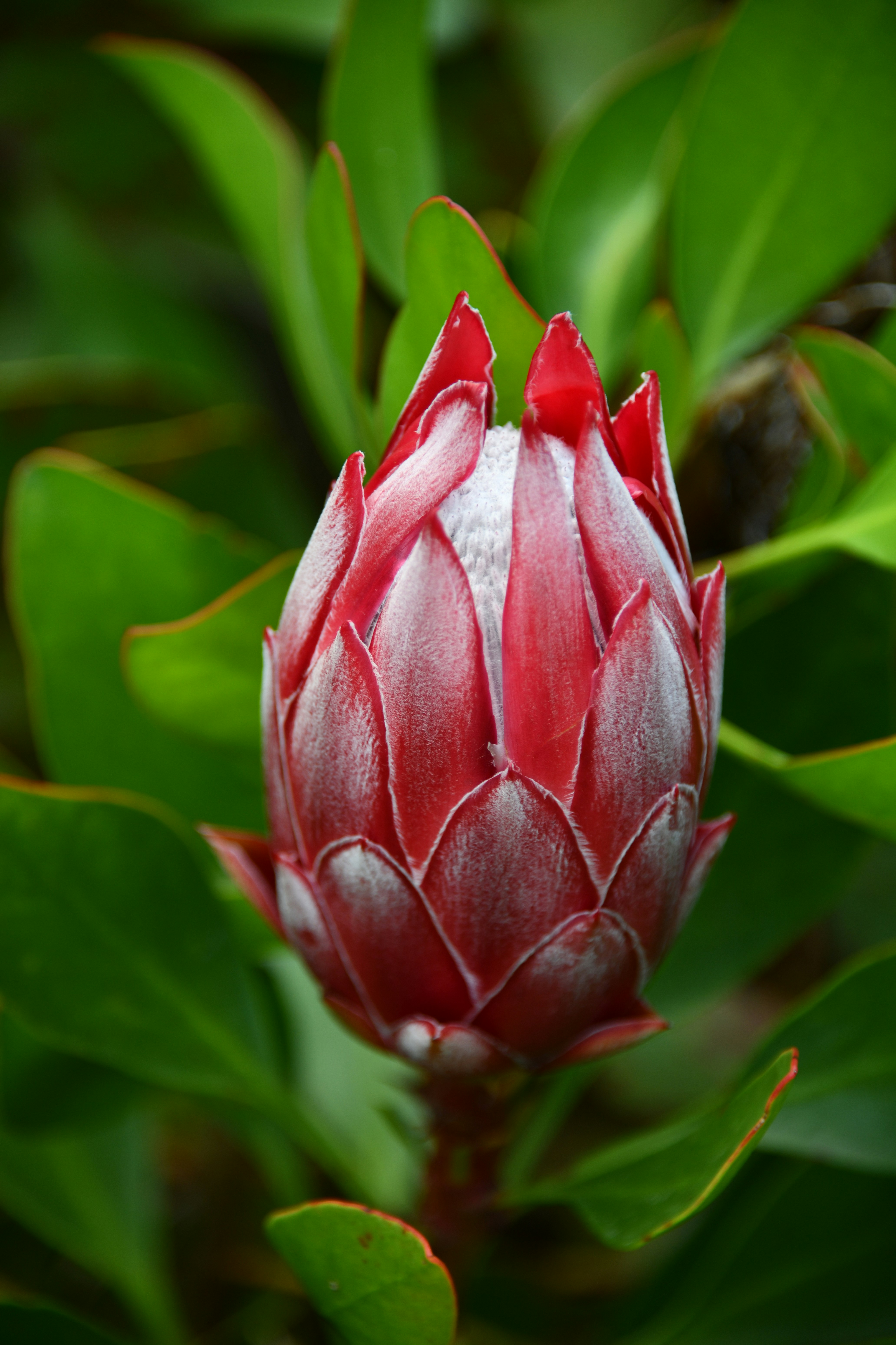 Photo by richard7seals