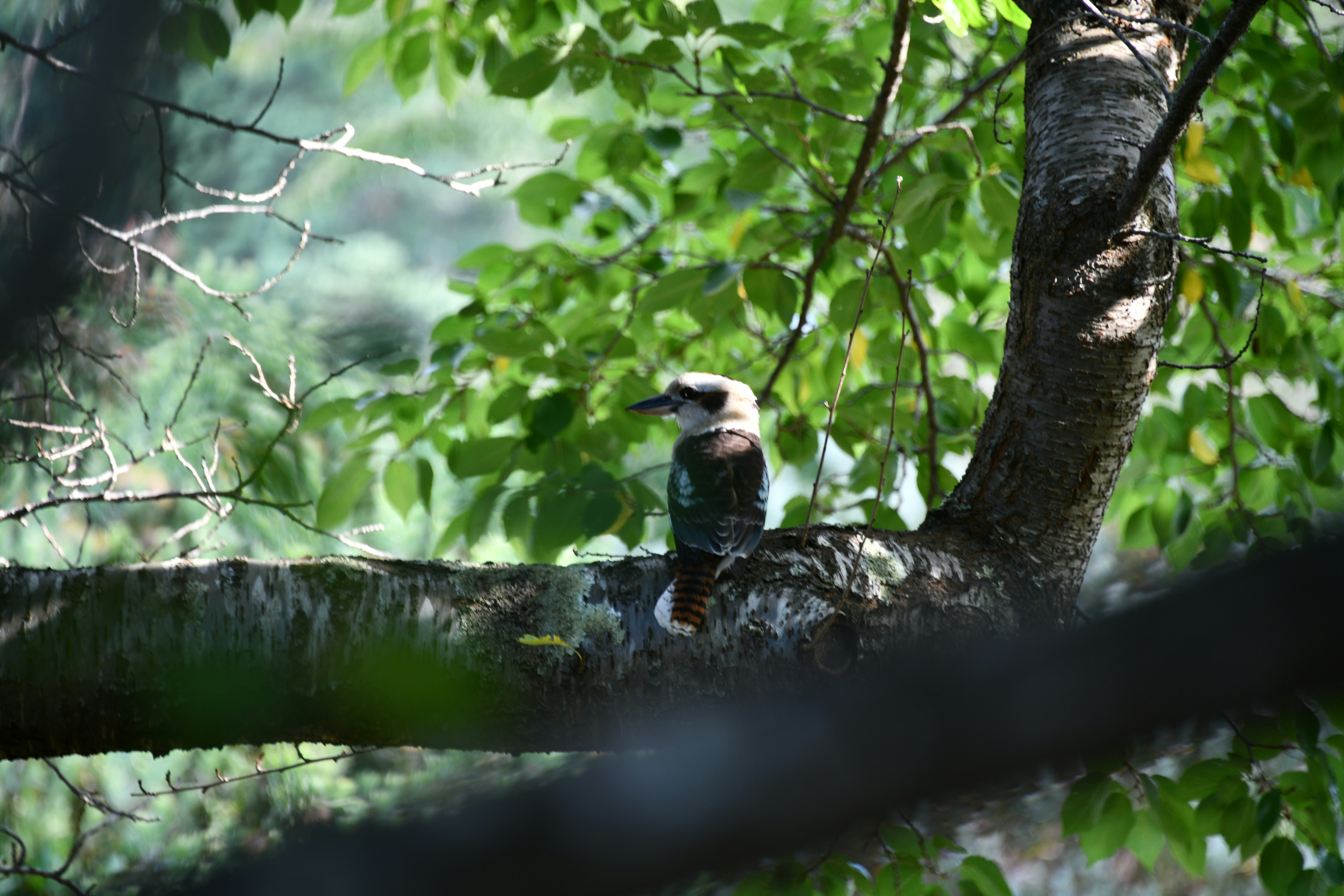 Photo by richard7seals