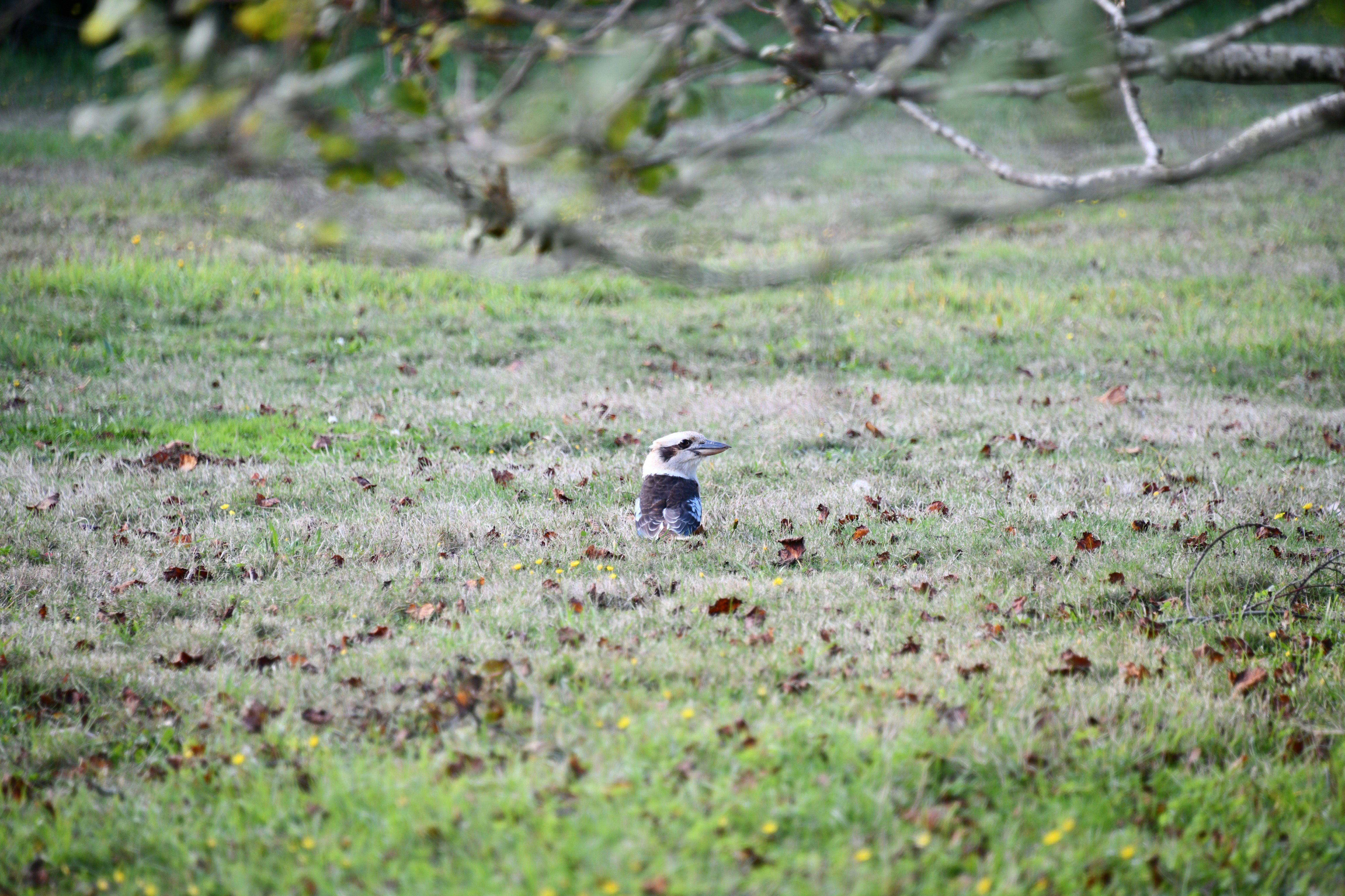 Photo by richard7seals