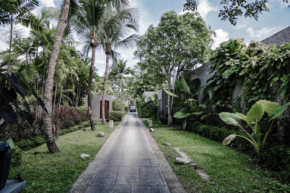 a long narrow pathway between two buildings in a tropical setting