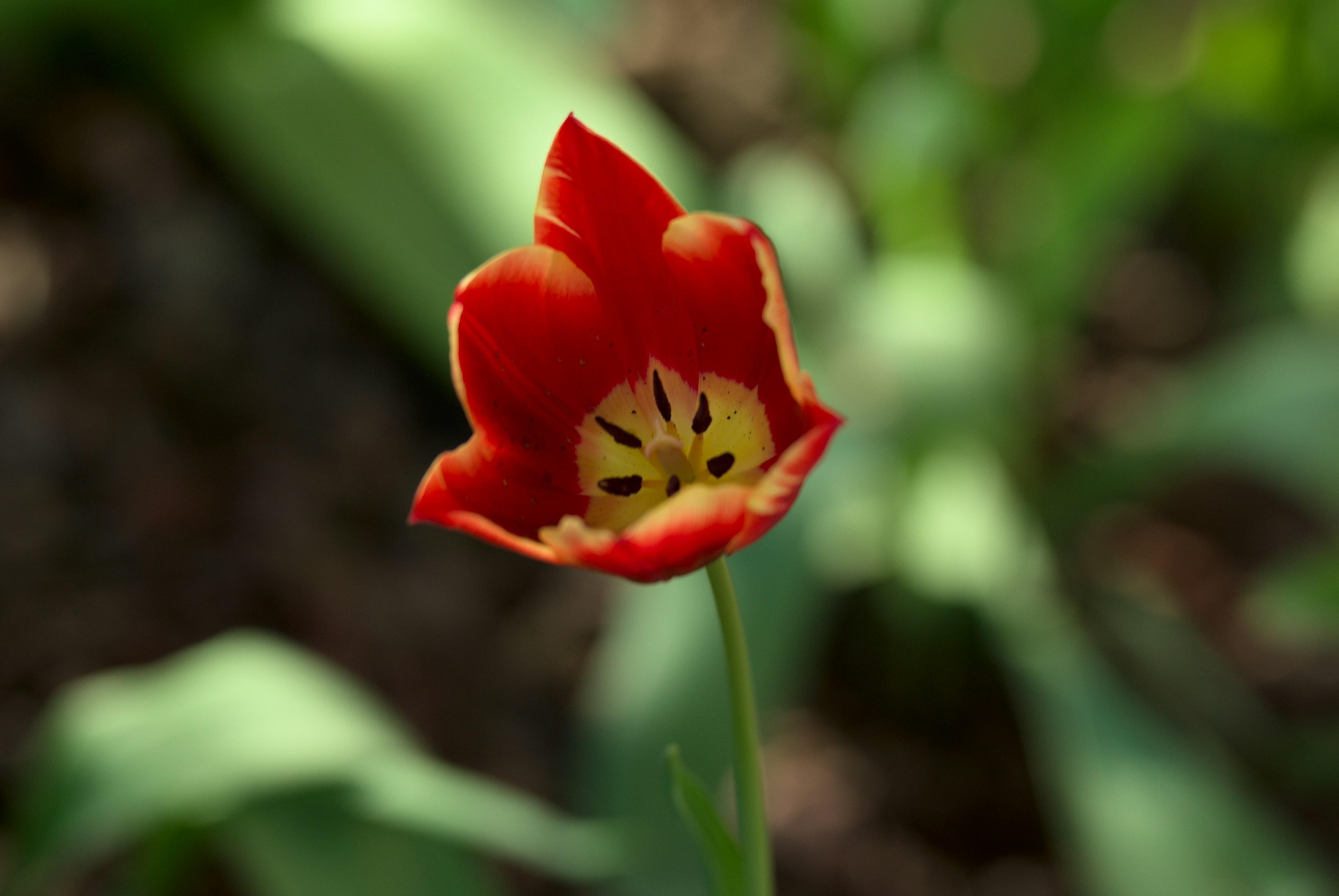 Photo by paulschnuerle