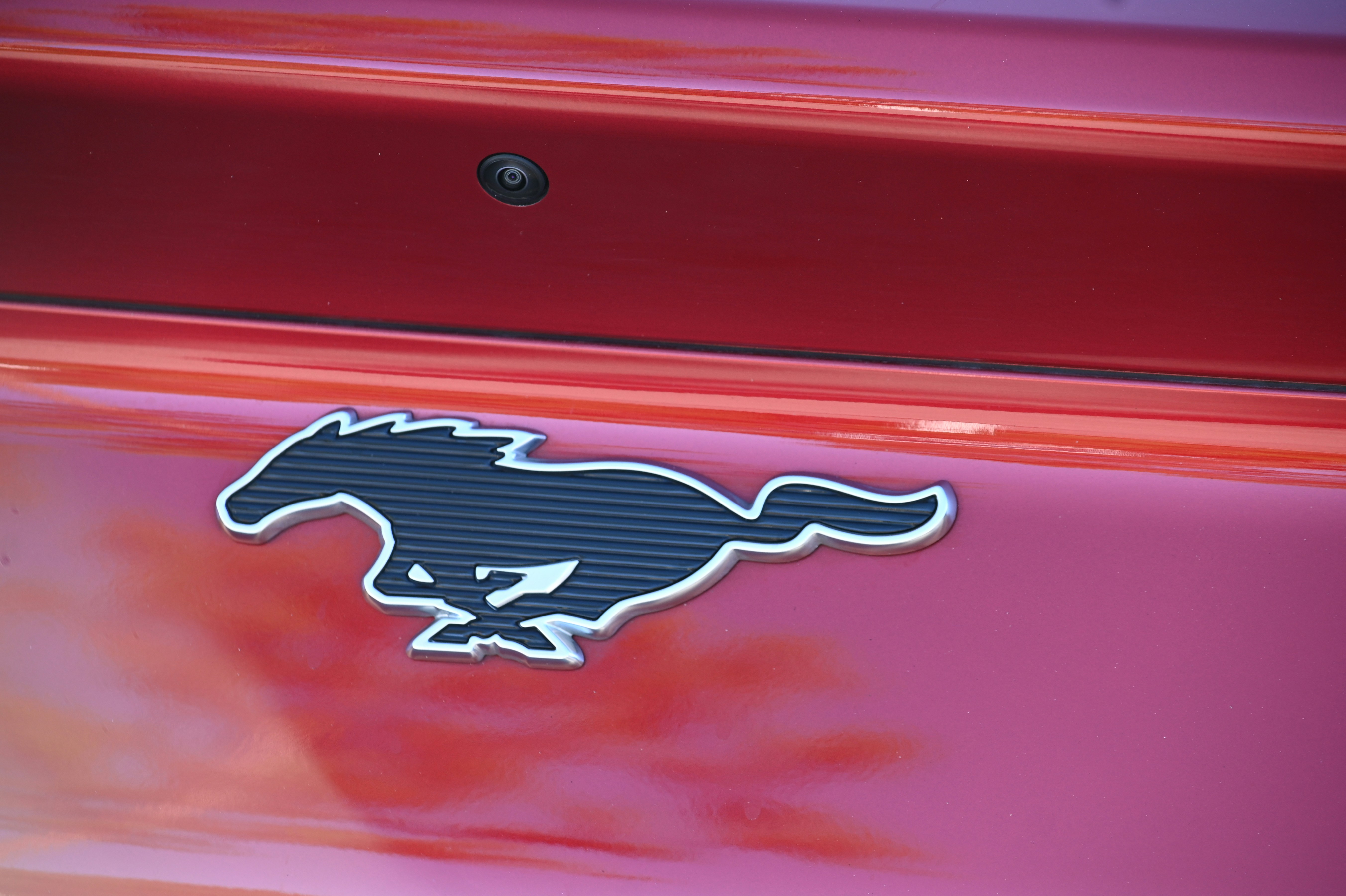 a close up of a mustang emblem on a car