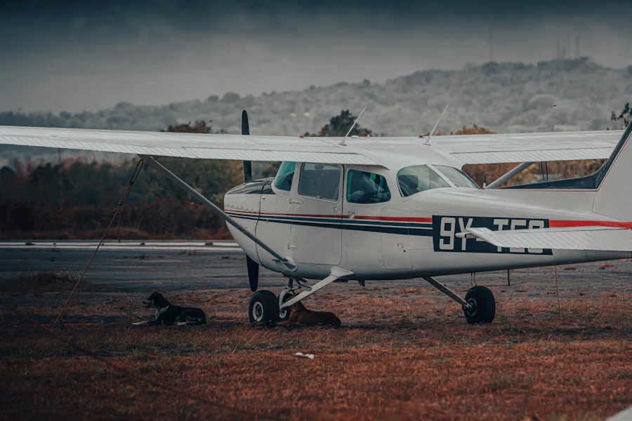 Cessna parked beside a grass airstrip