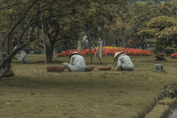 Several people wearing wide-brimmed hats are tending to a garden. They are positioned on a grassy area surrounded by trees and vibrant flowers, with baskets placed beside them. The setting appears peaceful and natural, with a focus on greenery and outdoor work.