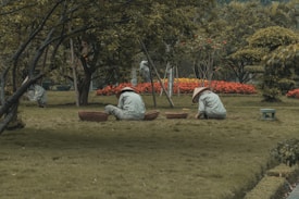 Several people wearing wide-brimmed hats are tending to a garden. They are positioned on a grassy area surrounded by trees and vibrant flowers, with baskets placed beside them. The setting appears peaceful and natural, with a focus on greenery and outdoor work.
