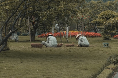 Several people wearing wide-brimmed hats are tending to a garden. They are positioned on a grassy area surrounded by trees and vibrant flowers, with baskets placed beside them. The setting appears peaceful and natural, with a focus on greenery and outdoor work.