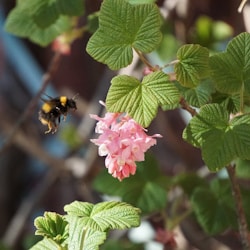 Let the Buzz Begin: How to Create Excitement for Your Next Event