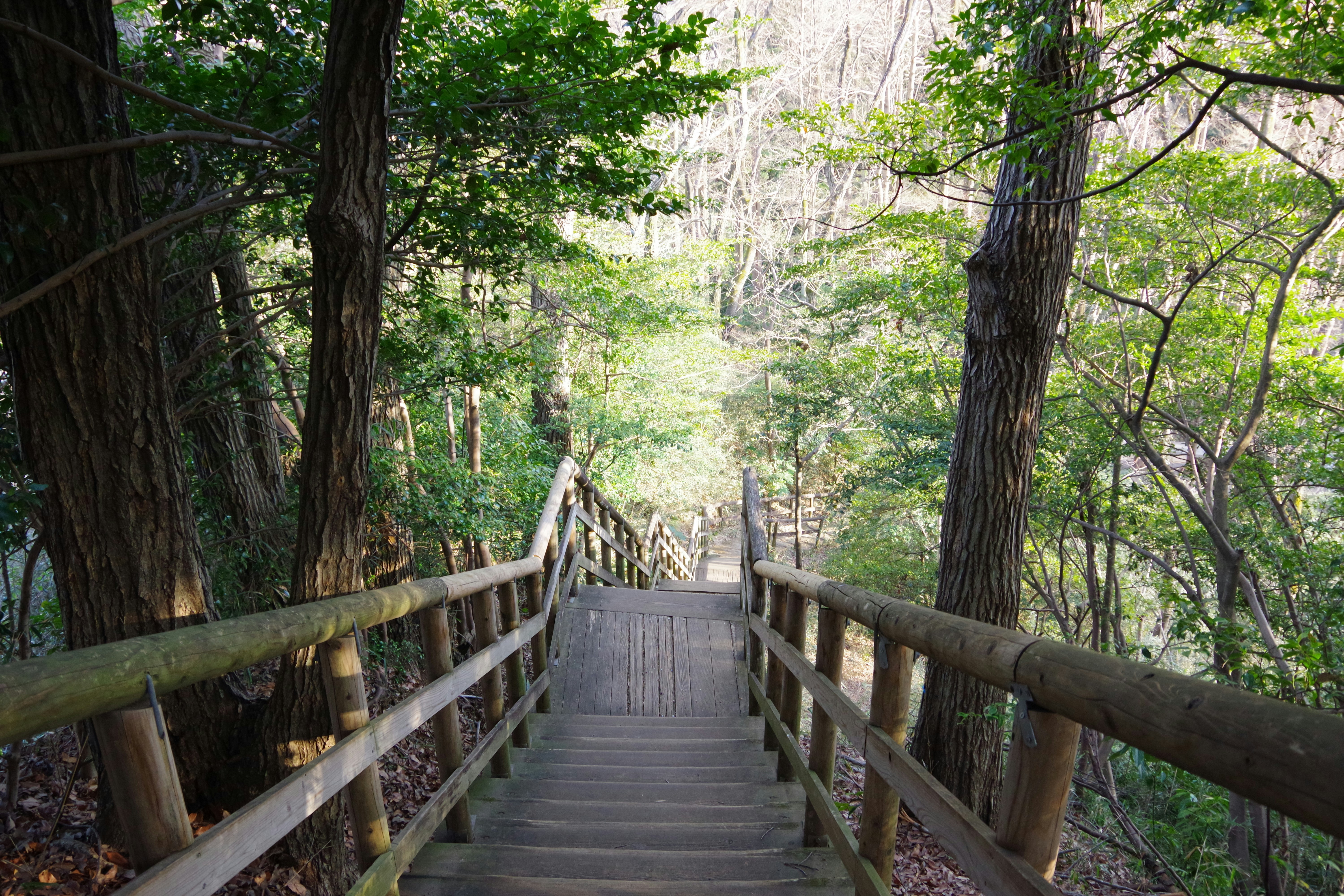 Photo by manikandan_s