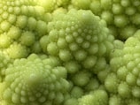 A close-up view of a Romanesco broccoli with its distinctive fractal pattern. The image captures the intricate, spiral arrangement of the vegetable's small, conical florets in an array of vibrant green hues.
