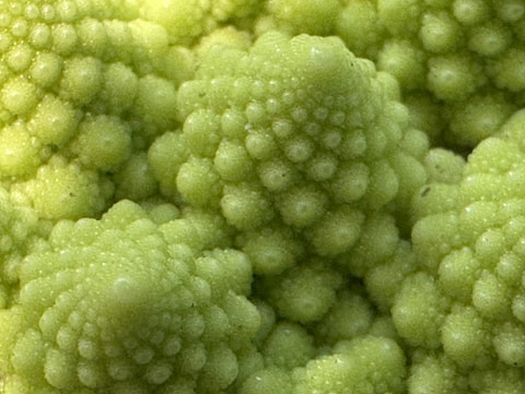 A close-up view of a Romanesco broccoli with its distinctive fractal pattern. The image captures the intricate, spiral arrangement of the vegetable's small, conical florets in an array of vibrant green hues.