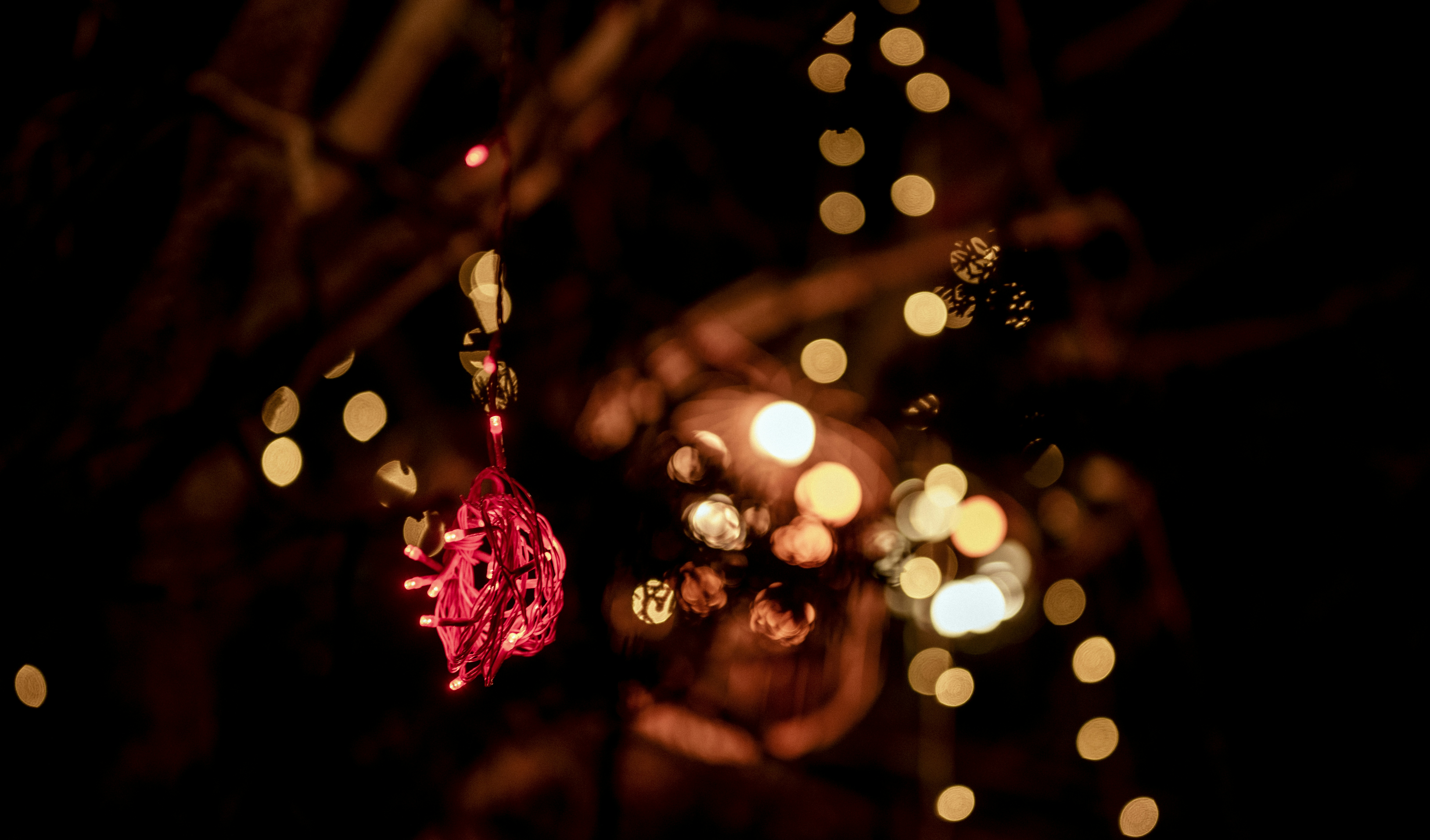 Photo by anubhavsonker